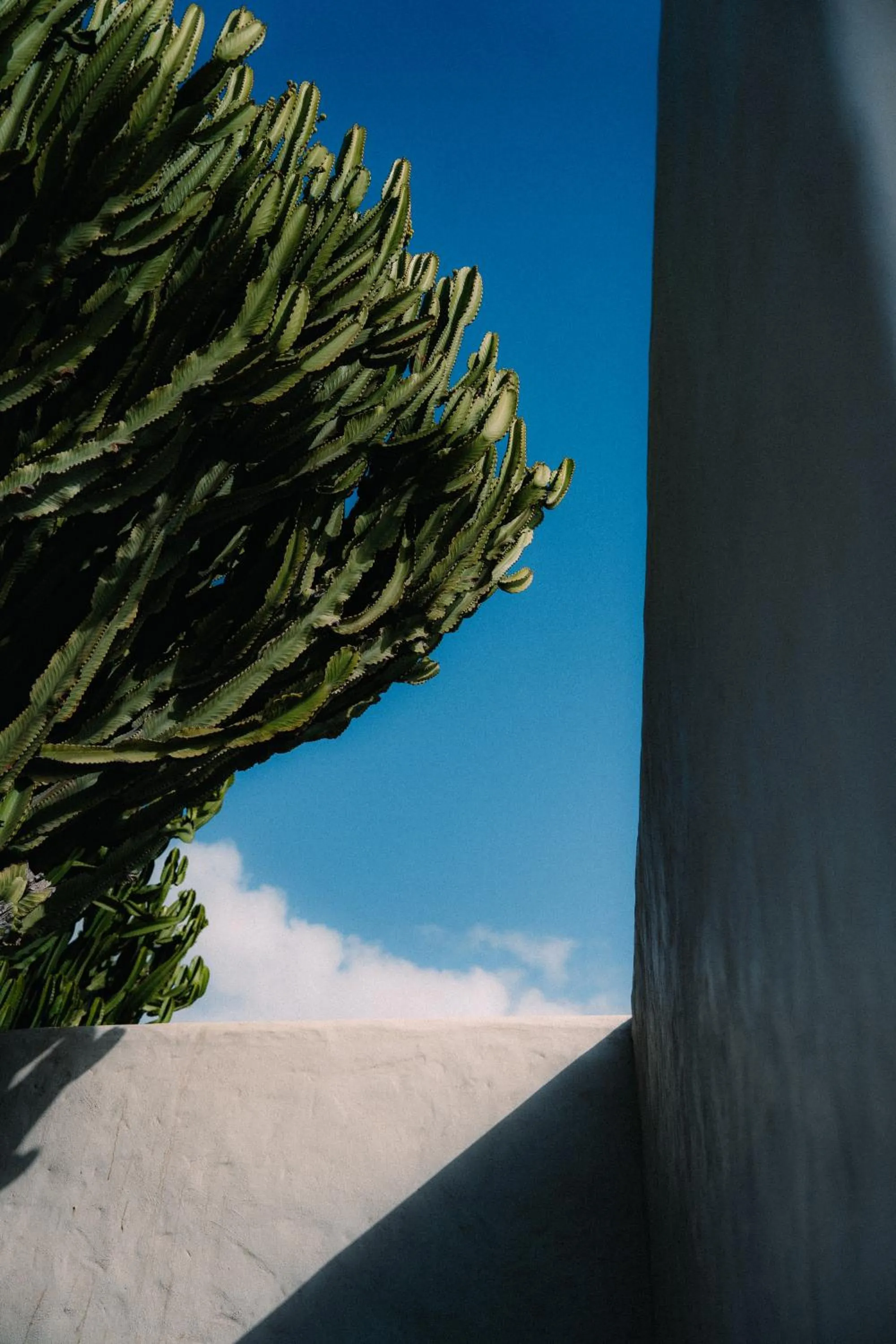 Garden in Boutique Eco Hotel Costa Mágica