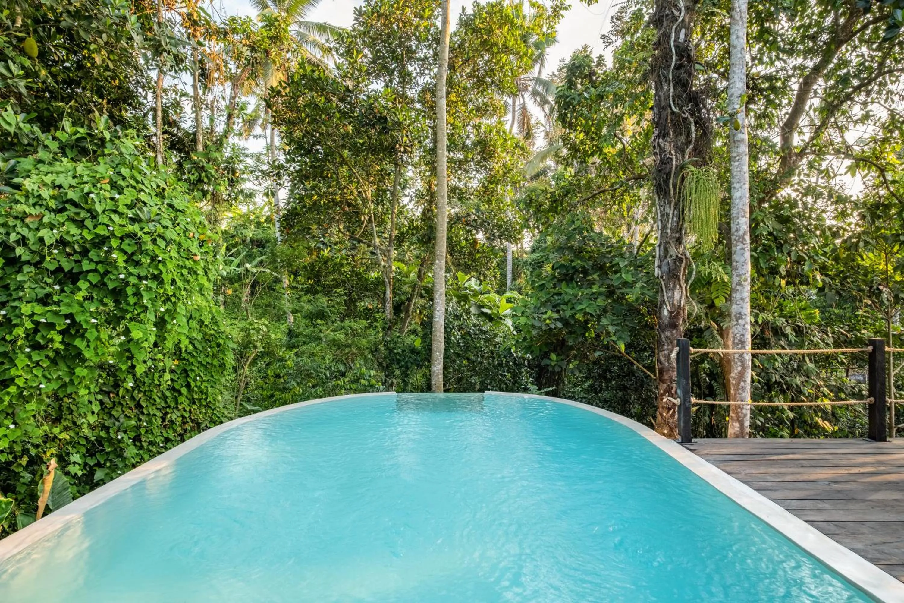 Swimming pool in Jungleight Bali