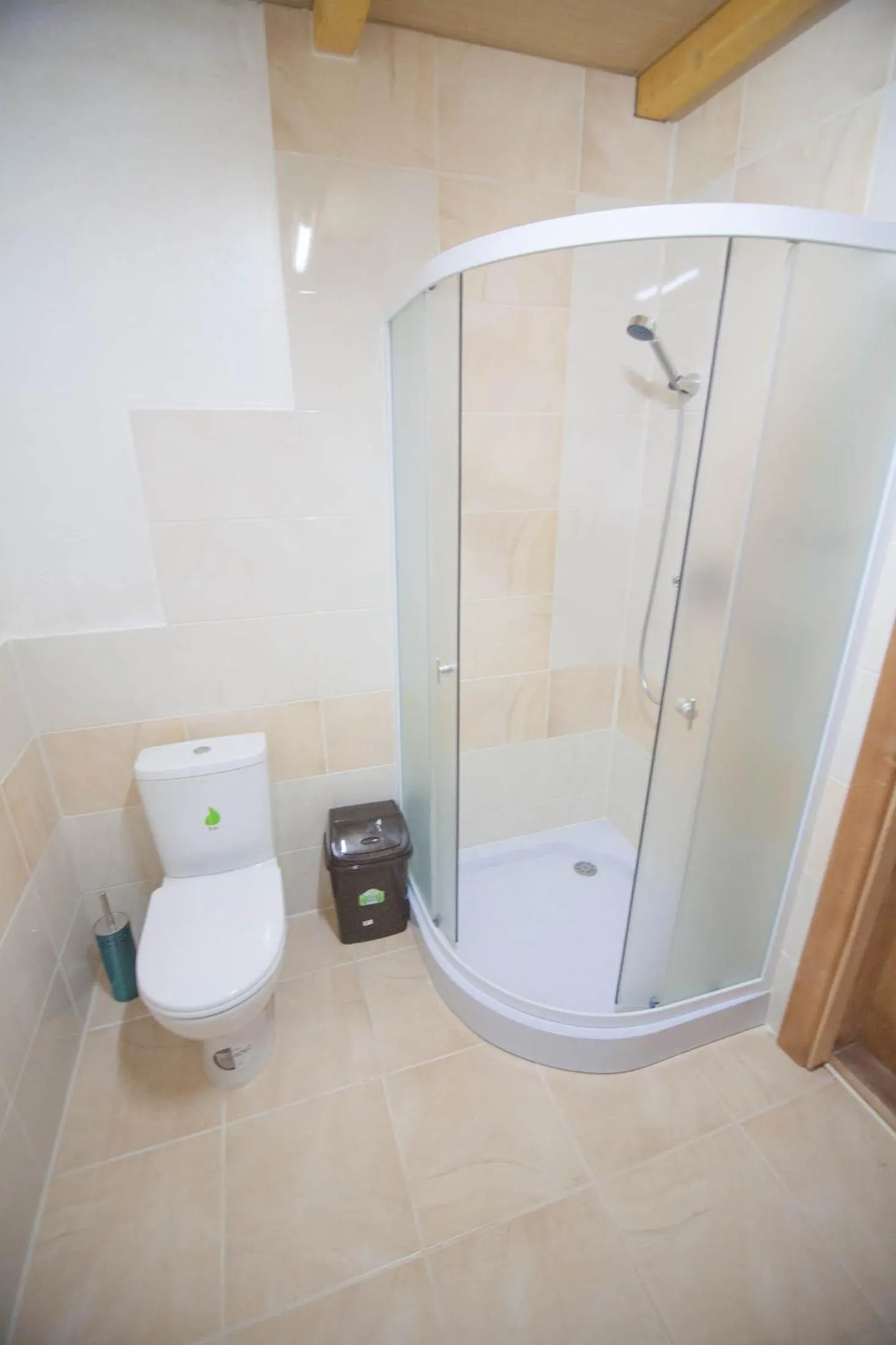 Bathroom in Karpatski Dzherela