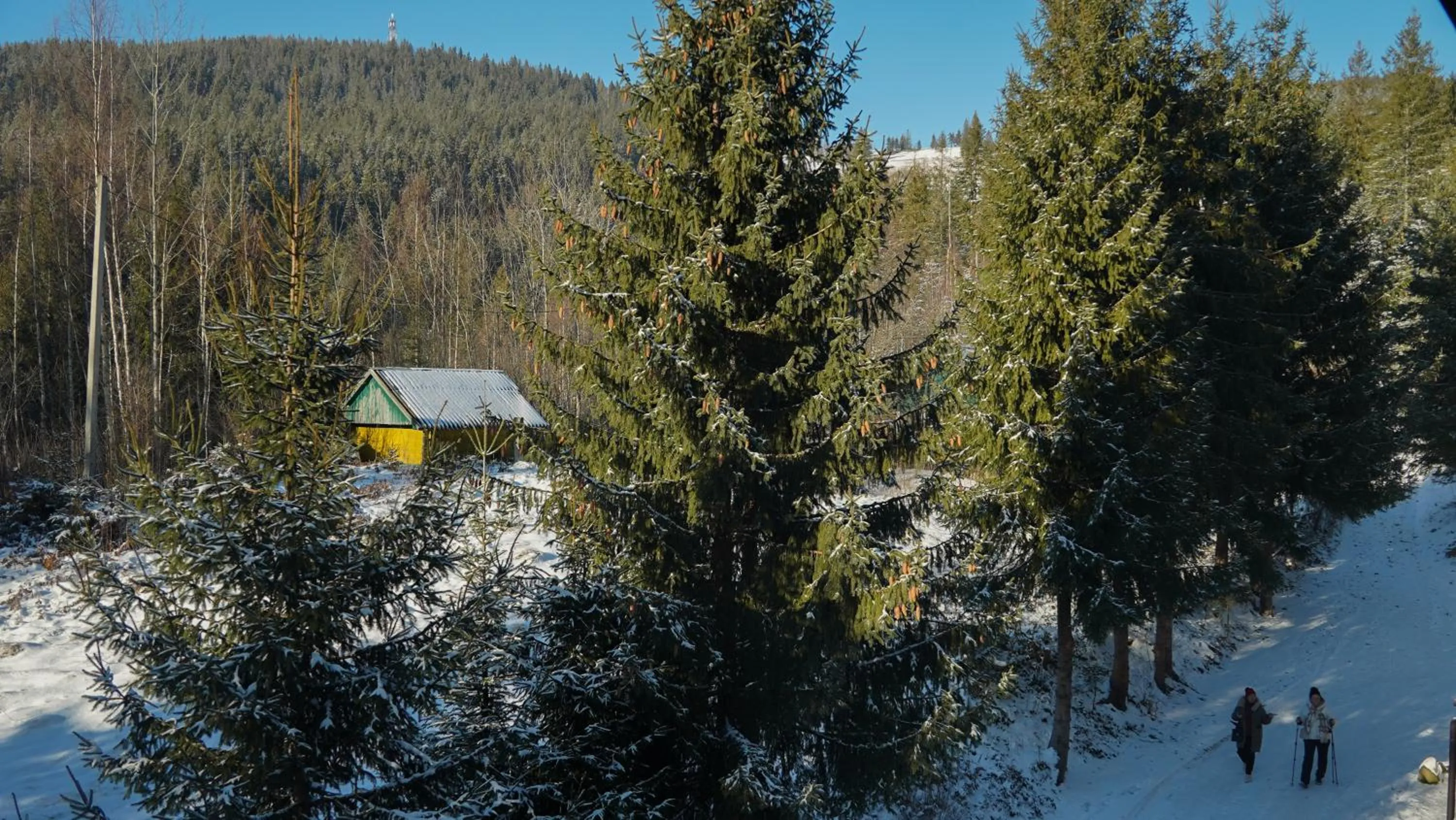 Karpatski Dzherela