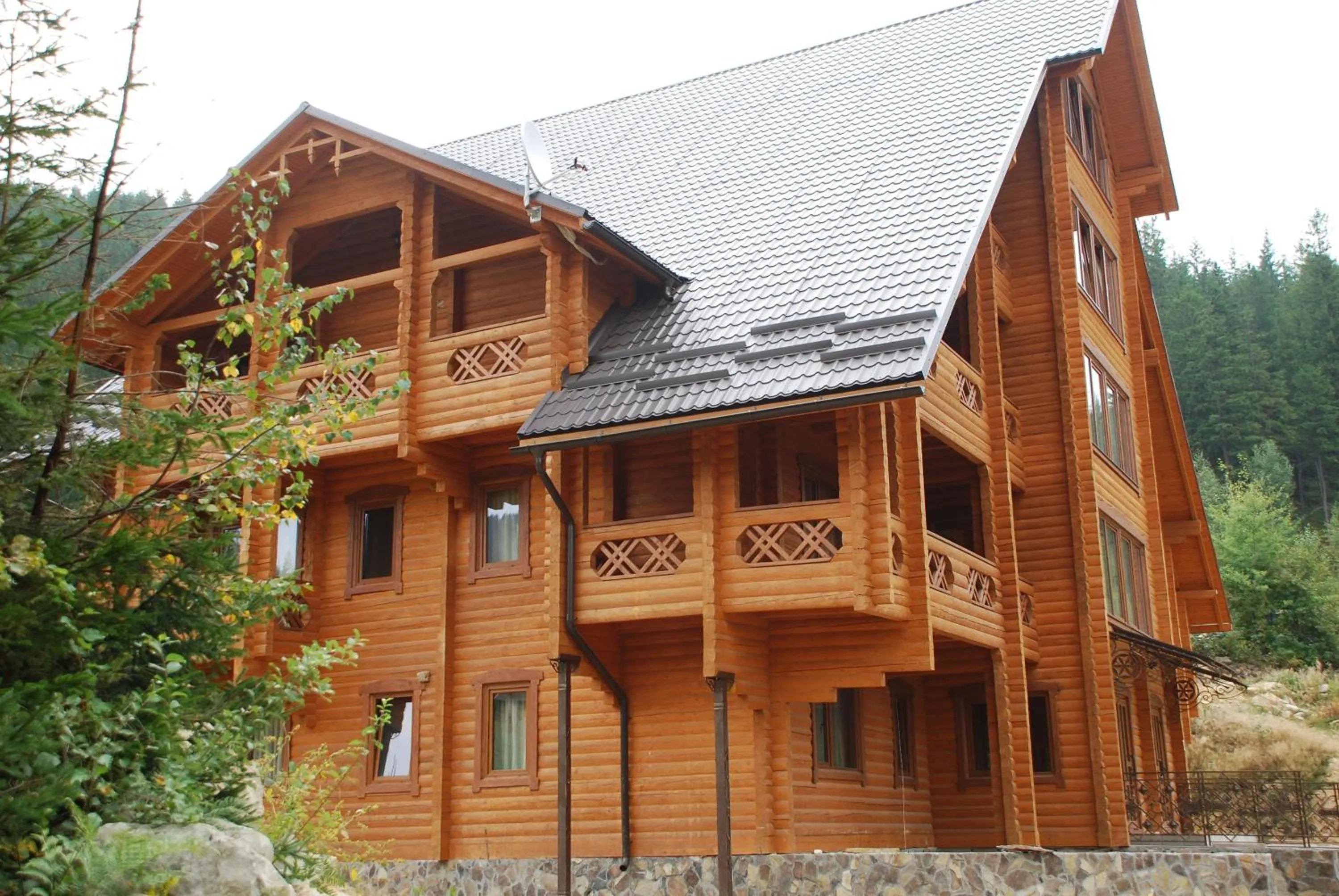 Property building in Karpatski Dzherela