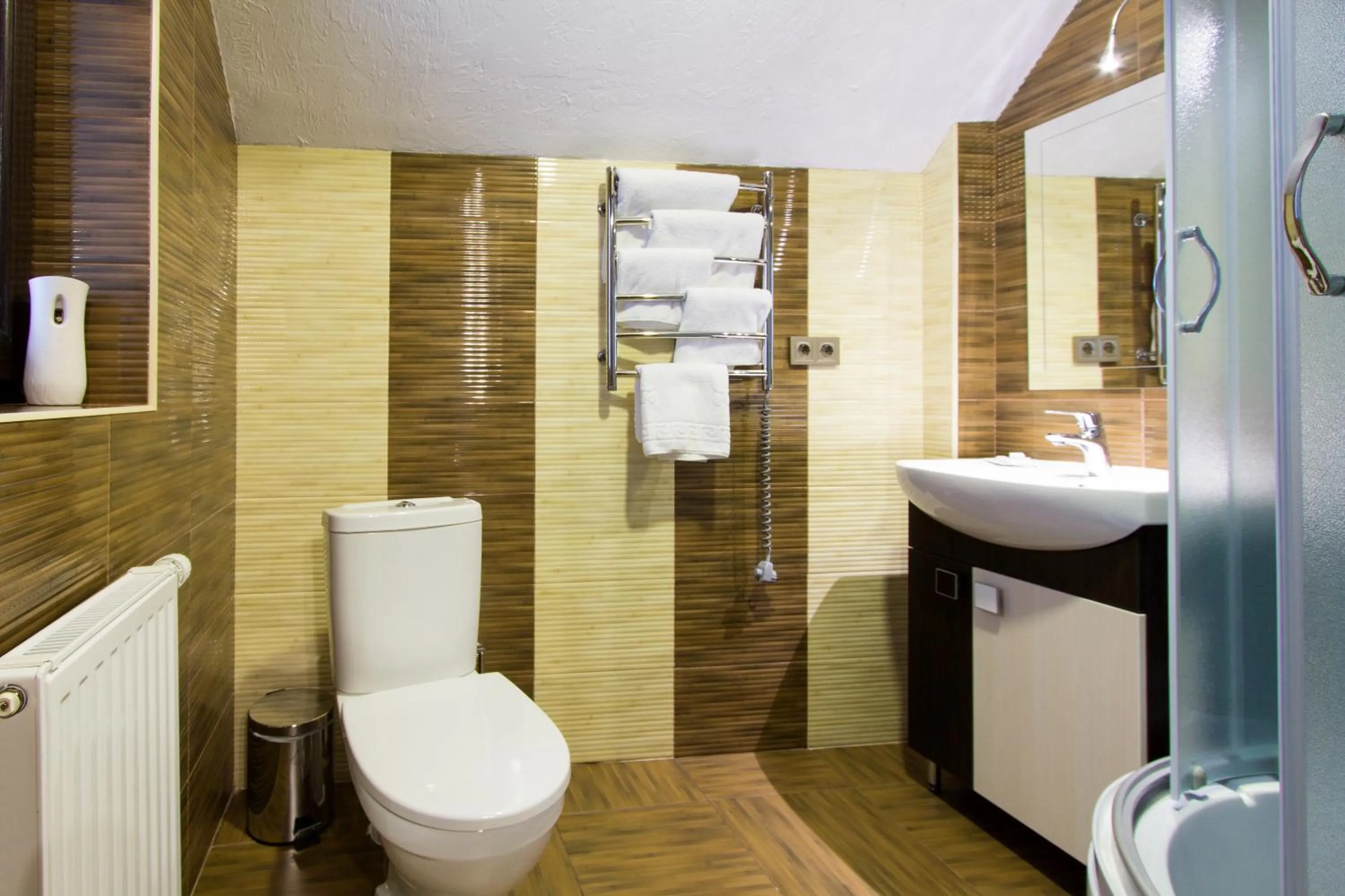 Photo of the whole room in Karpatski Dzherela