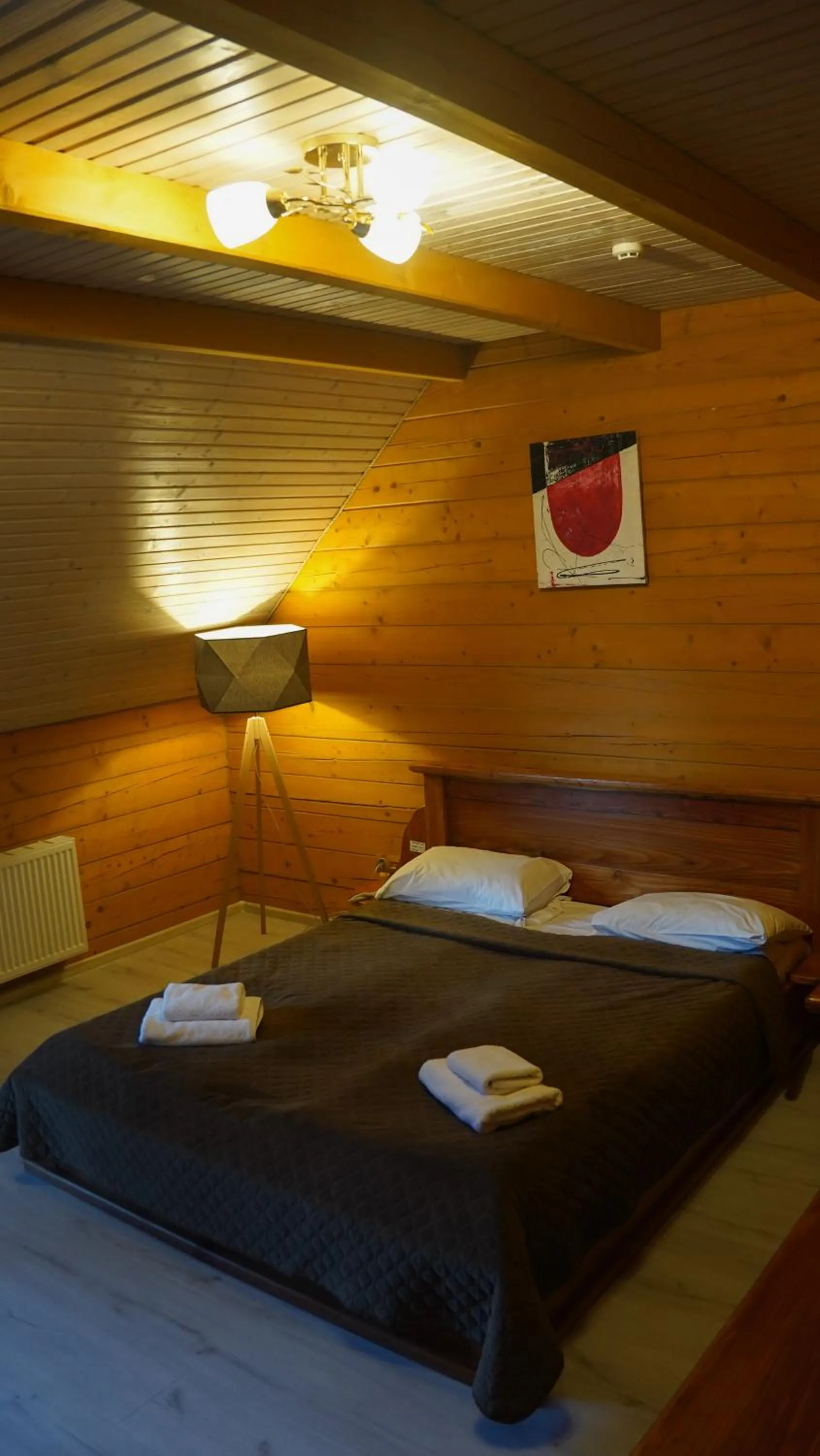 Bed in Karpatski Dzherela