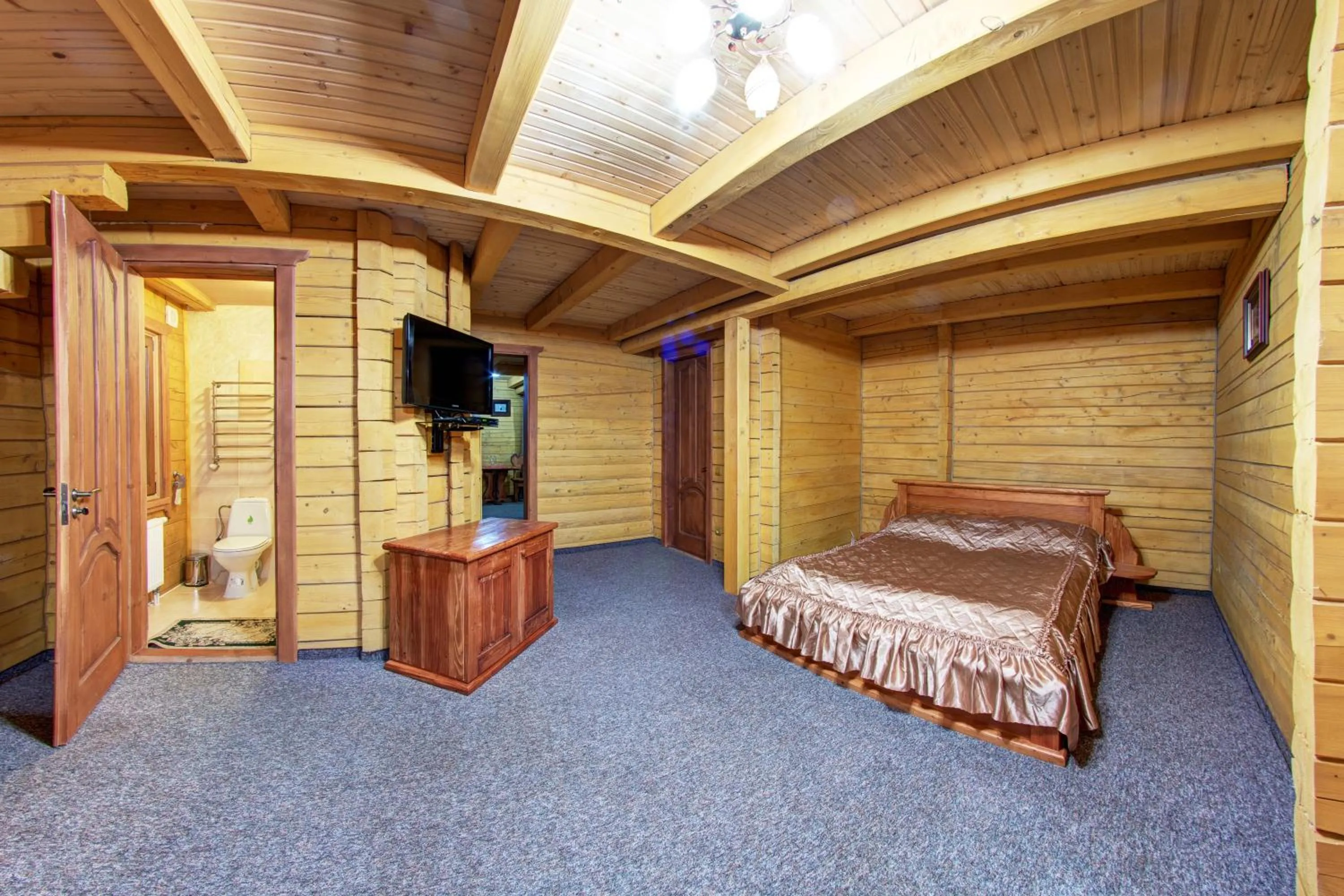 TV and multimedia, Bed in Karpatski Dzherela