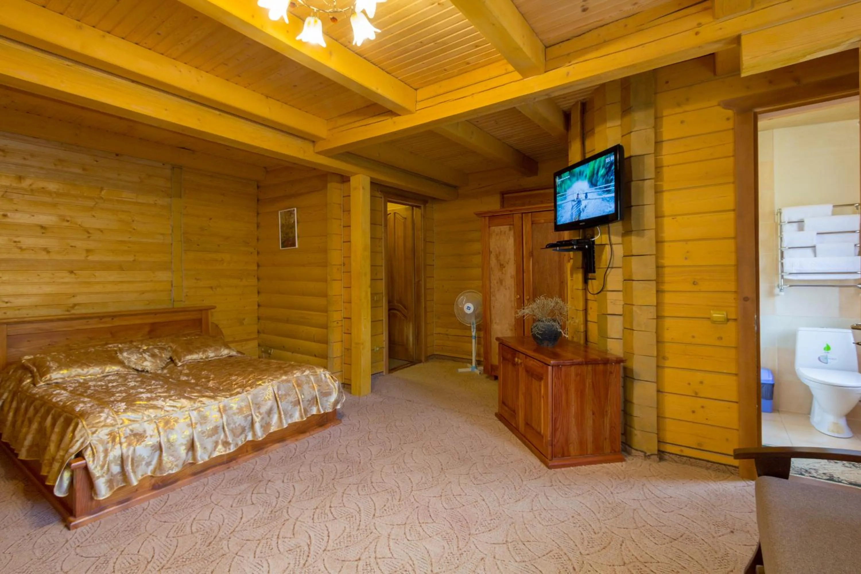 Photo of the whole room, Bed in Karpatski Dzherela