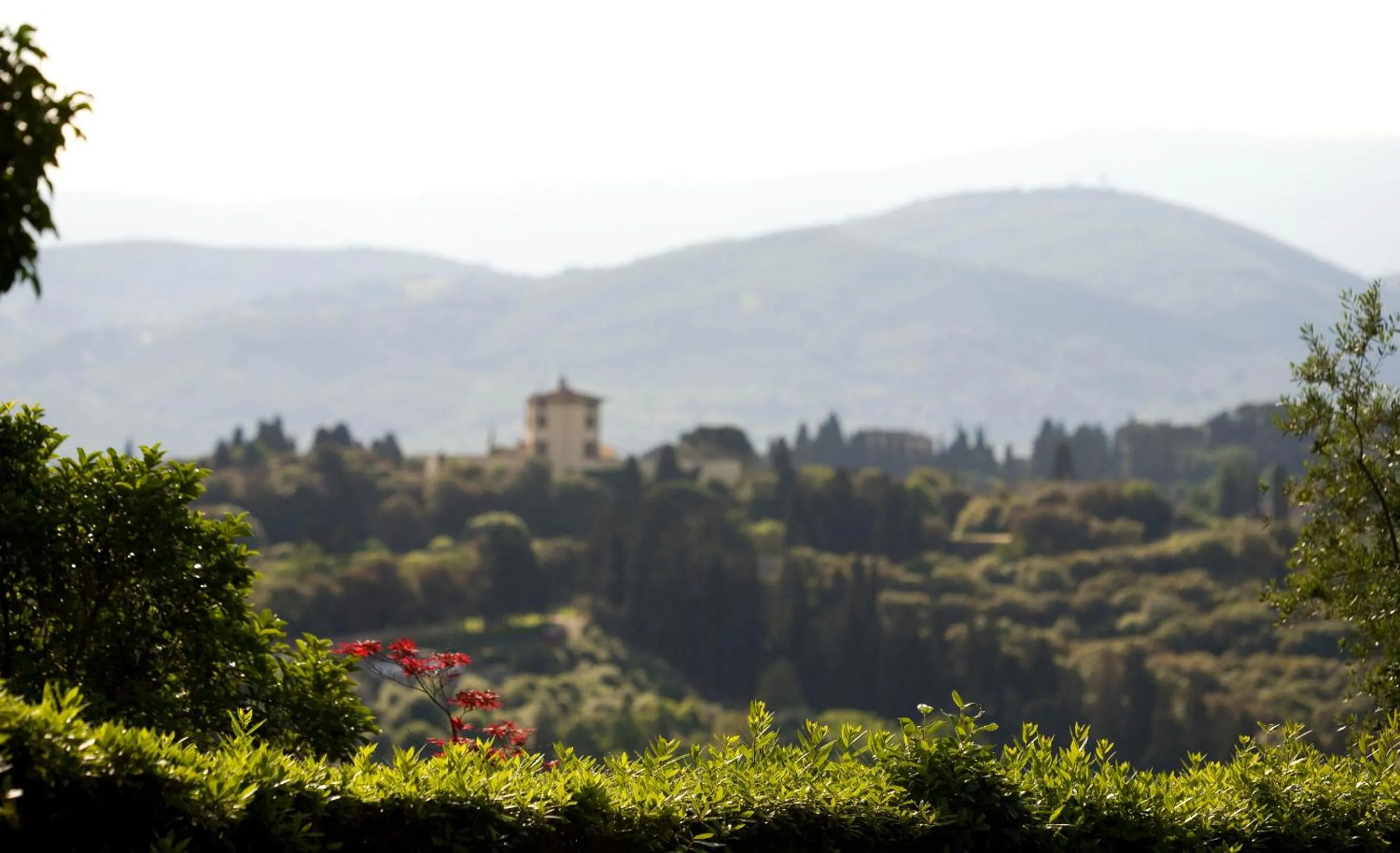 View (from property/room) in Hotel Torre di Bellosguardo