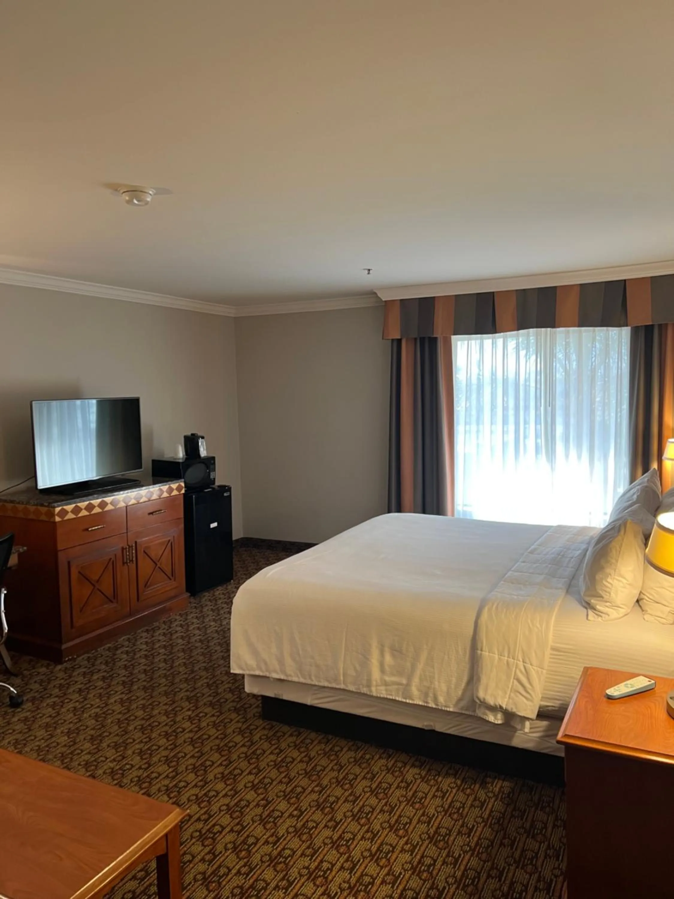 Photo of the whole room, Bed in Hotel Xola