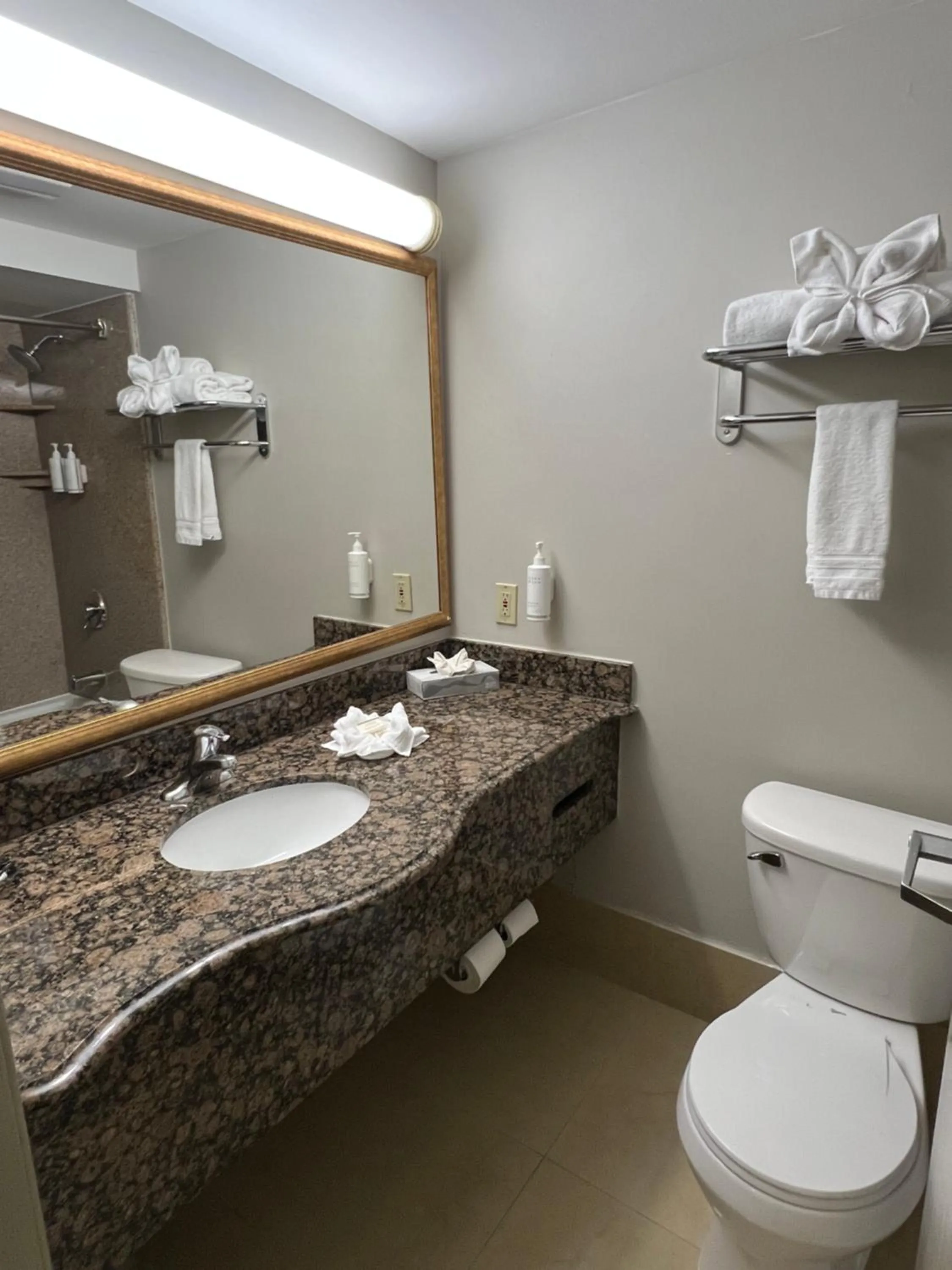 Toilet in Hotel Xola