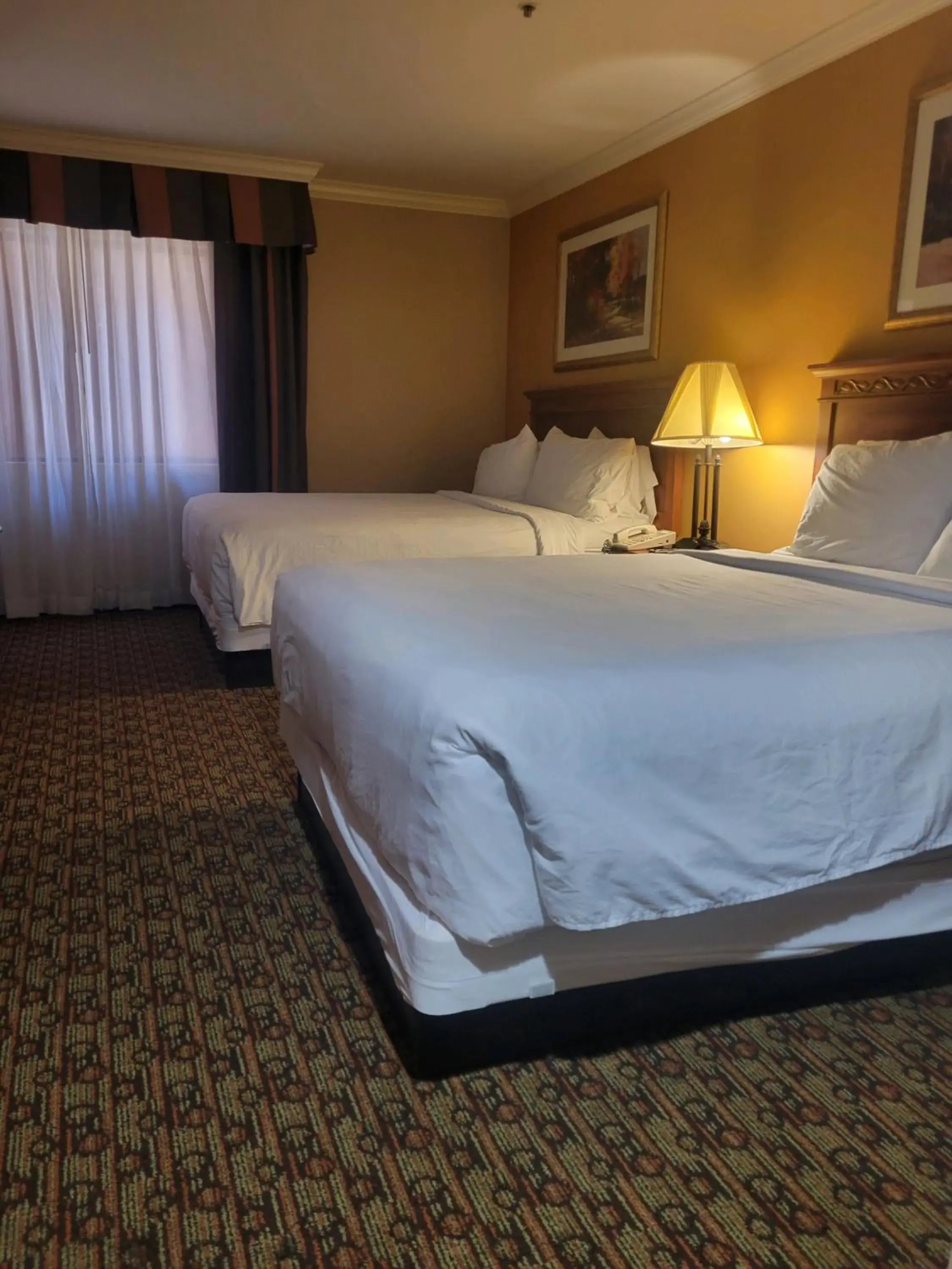 Photo of the whole room, Bed in Hotel Xola Photo of the whole room, Bed in Hotel Xola