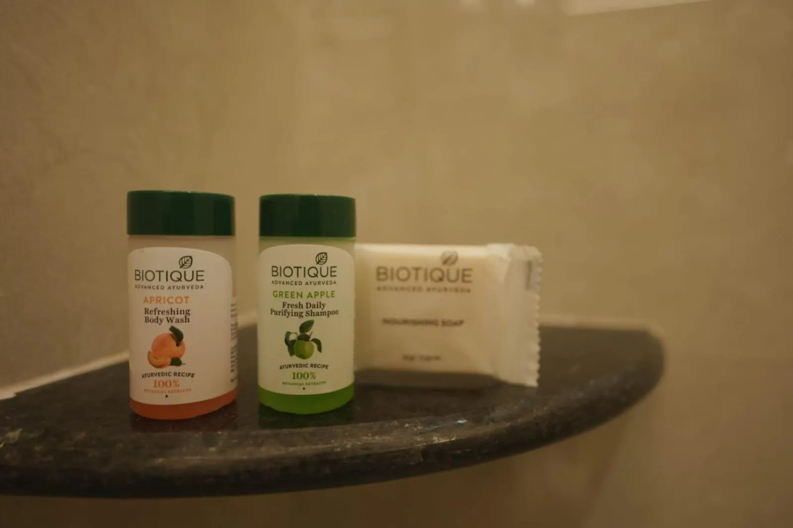 Shri Ram Paying Guest House Premium Rooms