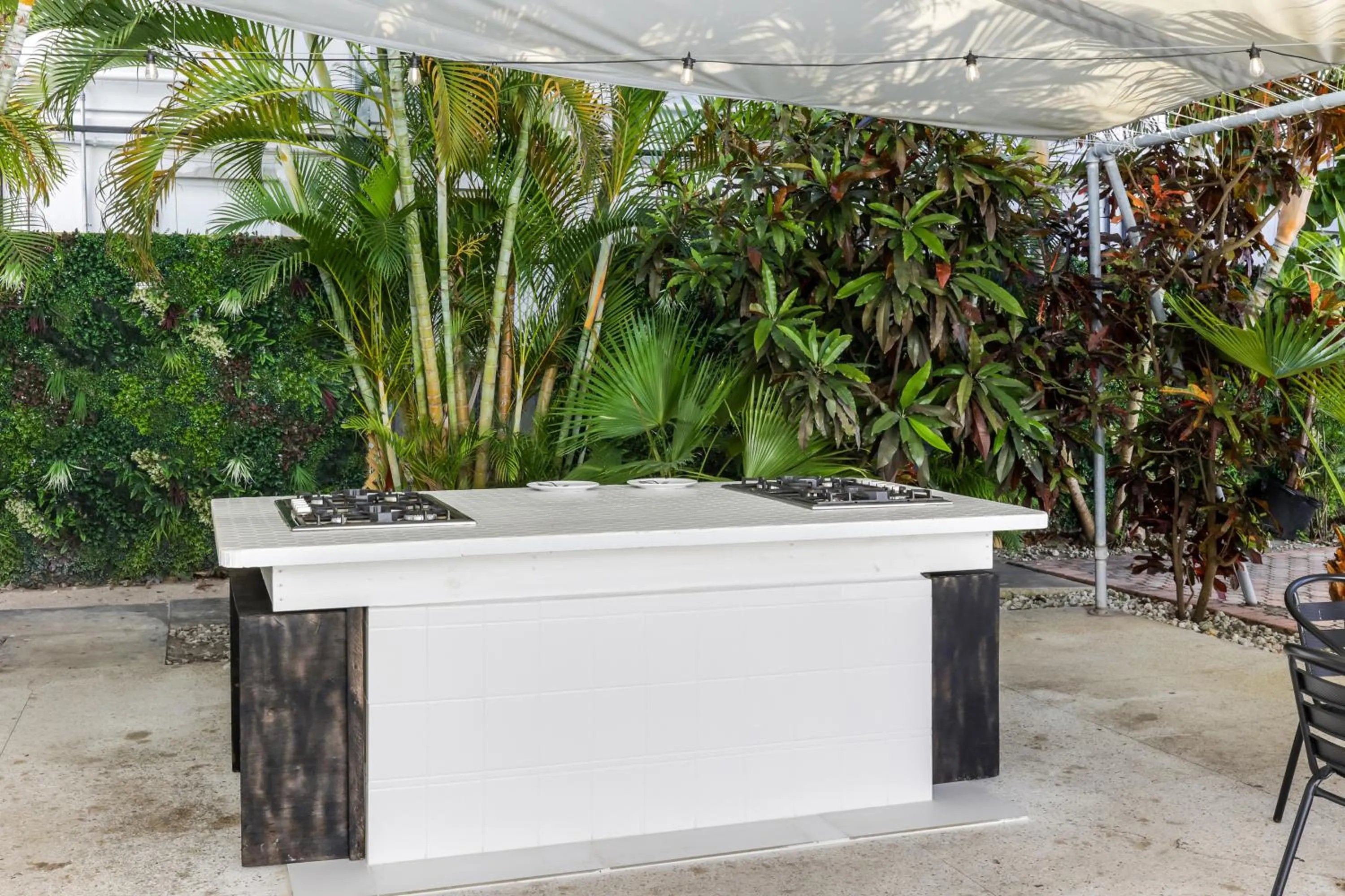 Day in Tropics Hotel Miami Beach