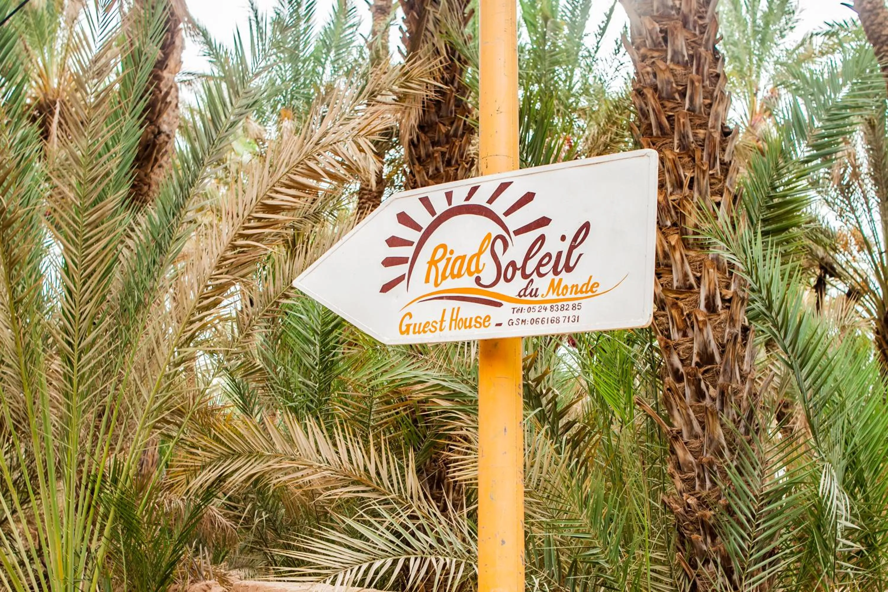 Off site in Riad Soleil du Monde