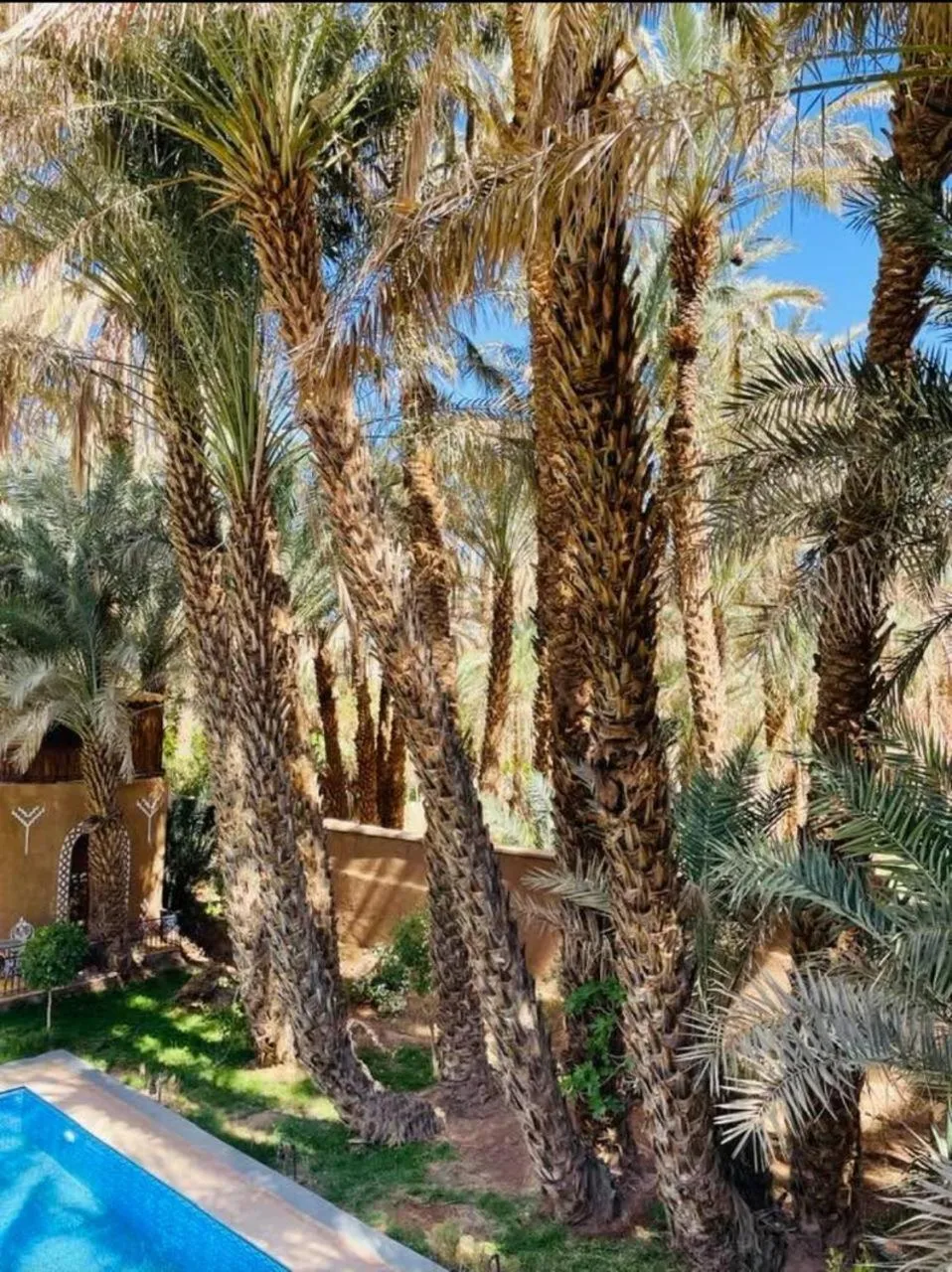 Riad Soleil du Monde