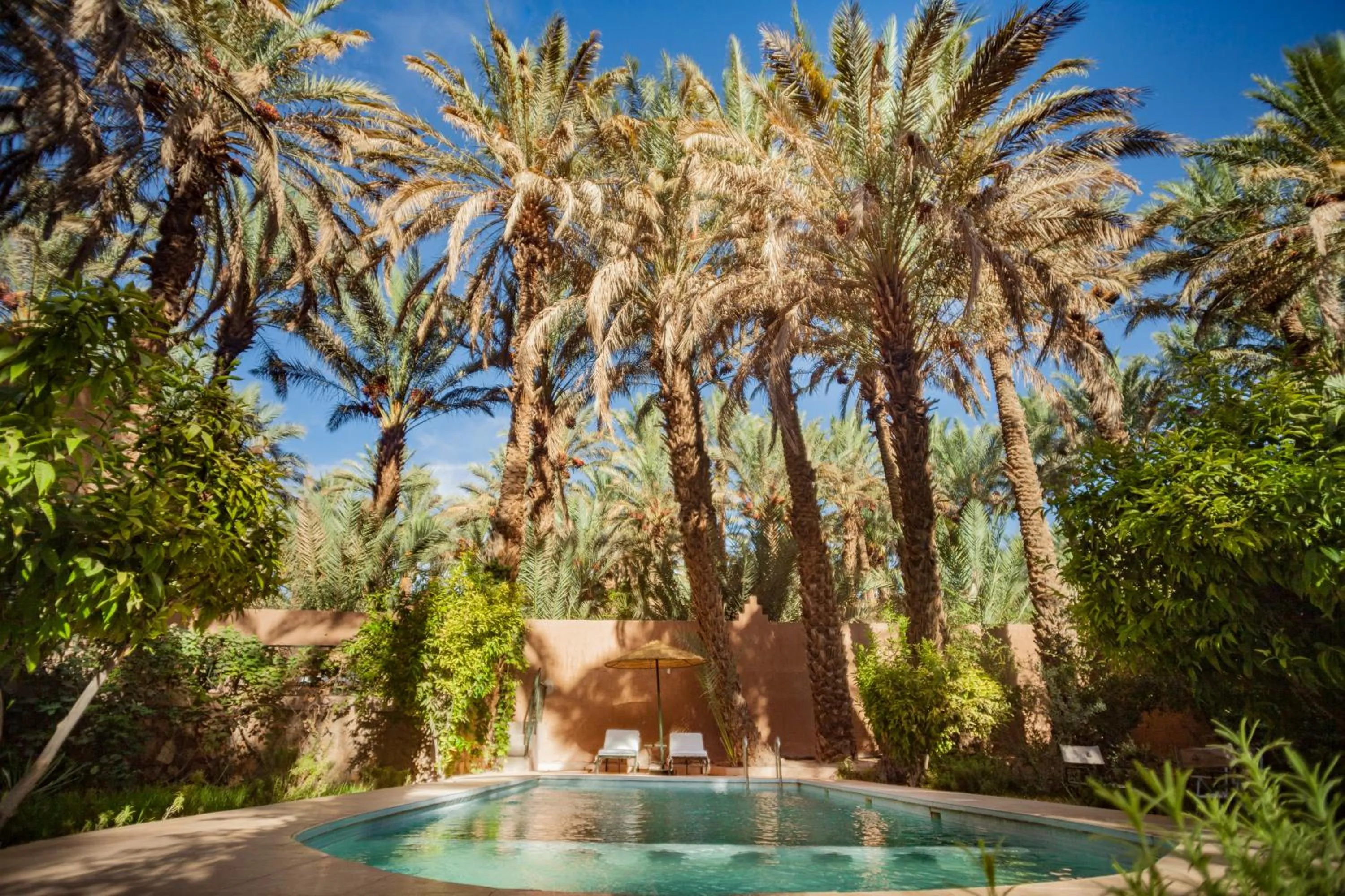 Garden view in Riad Soleil du Monde