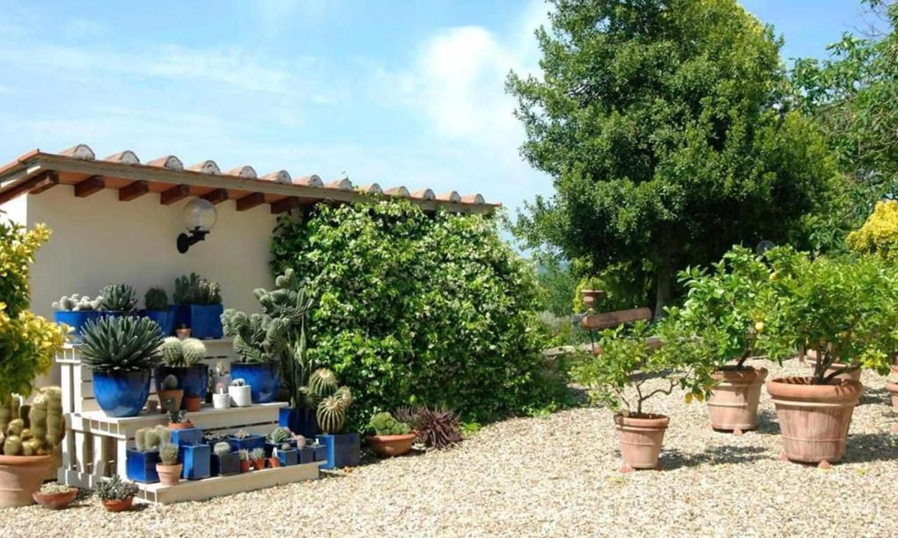 Garden in Il Frantoio delle Grazie