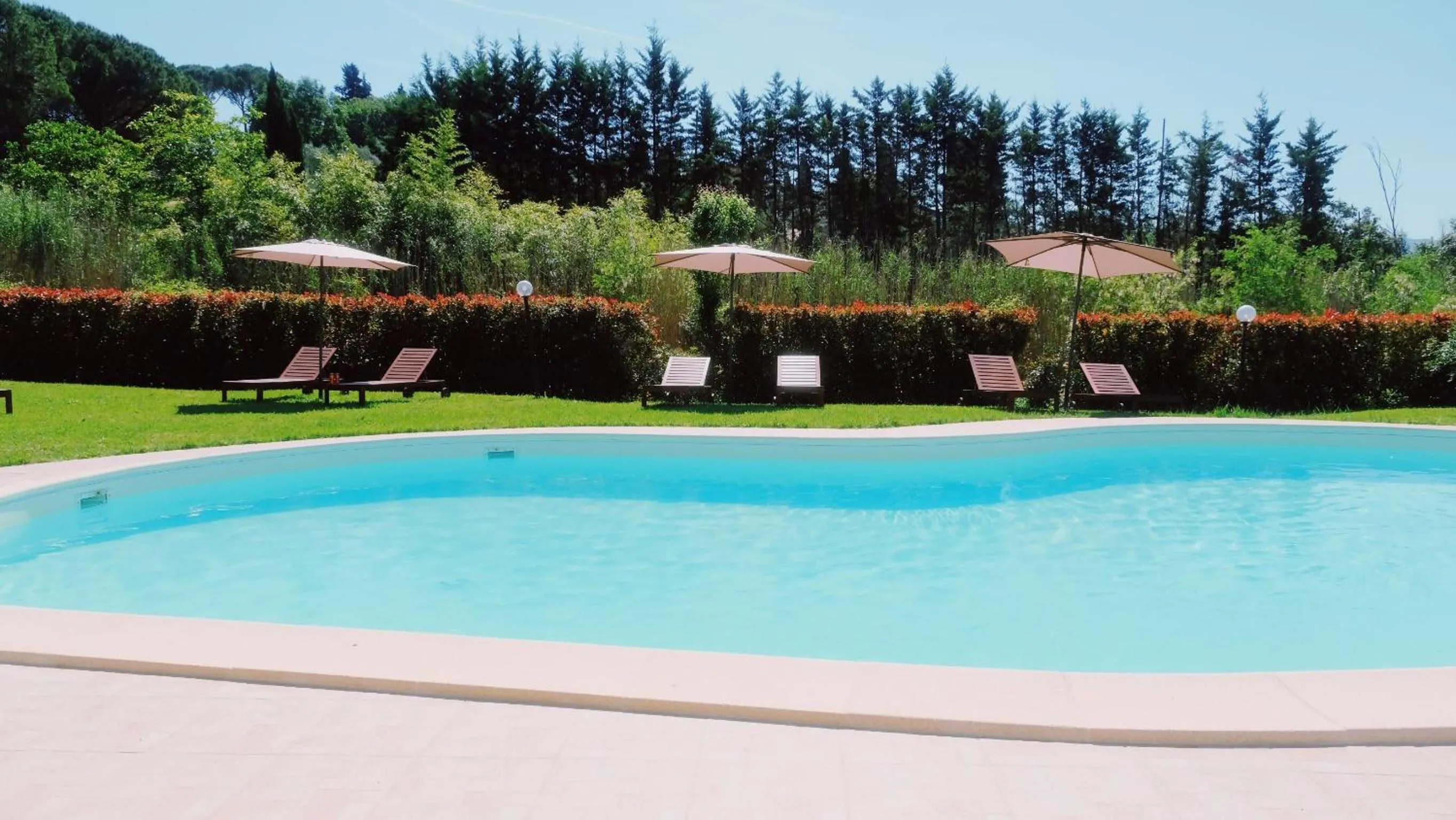 Swimming pool in Il Frantoio delle Grazie