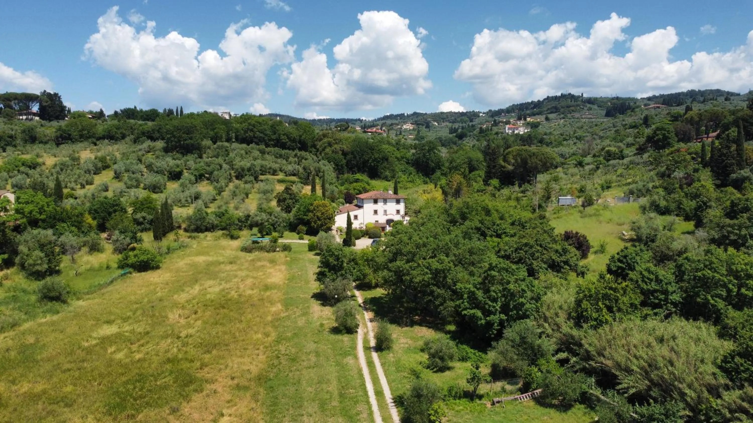 View (from property/room) in Il Frantoio delle Grazie