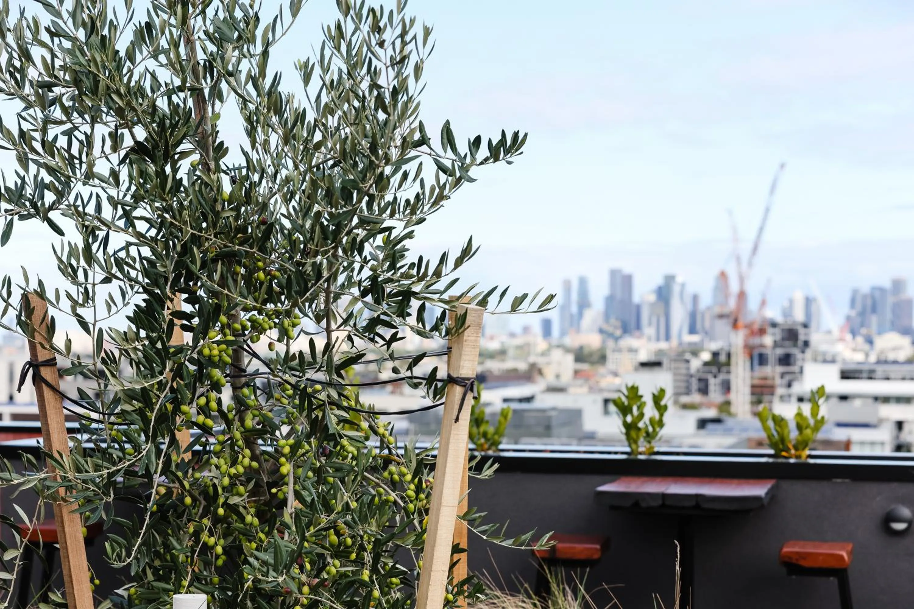 View (from property/room) in Rambla at Solarino House