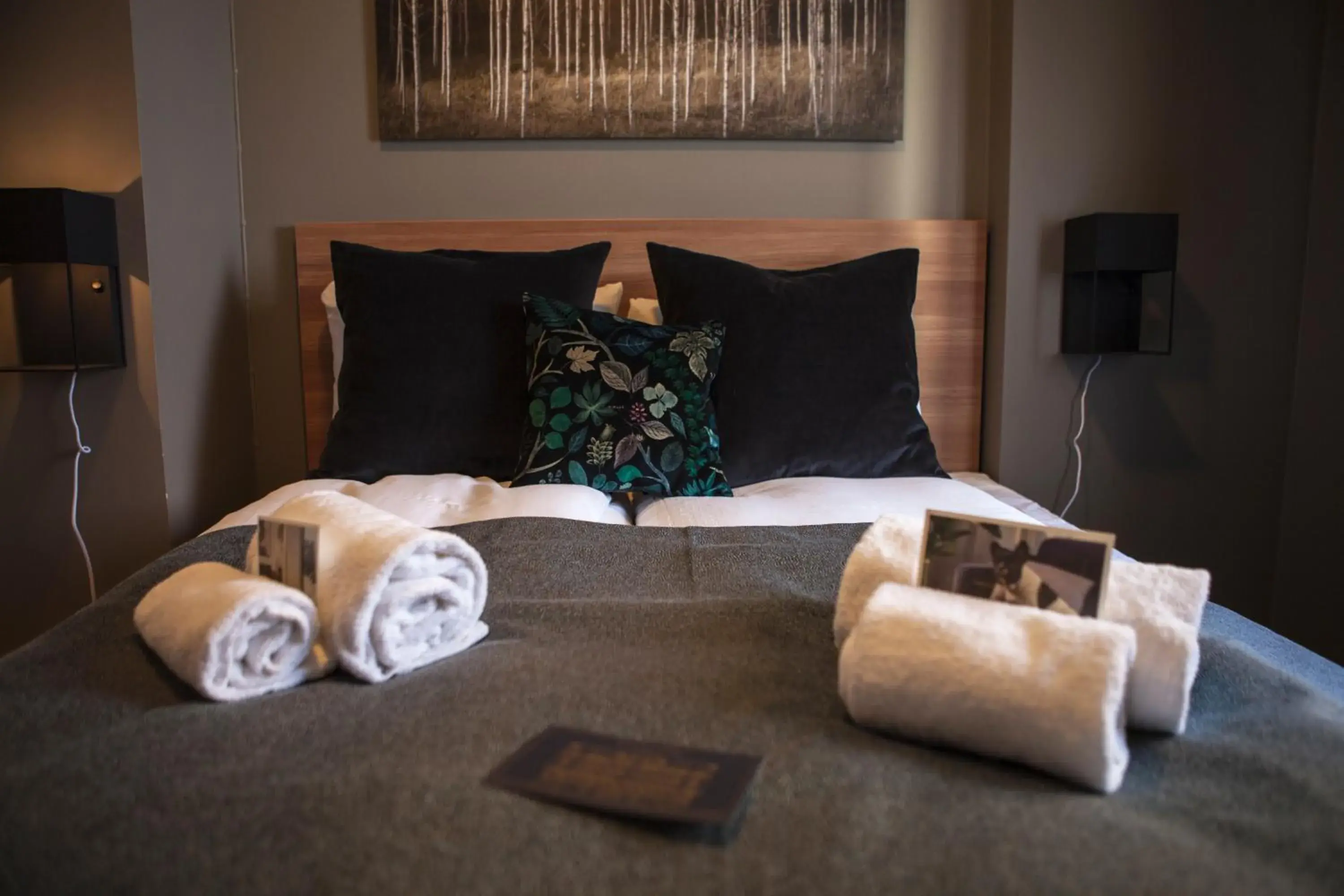 One-Bedroom Apartment - single occupancy in Frogner House - Nationaltheatret One-Bedroom Apartment - single occupancy in Frogner House - Nationaltheatret