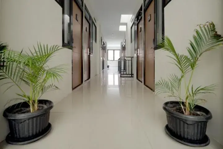 DPARAGON SETURAN 2 DPARAGON SETURAN 2