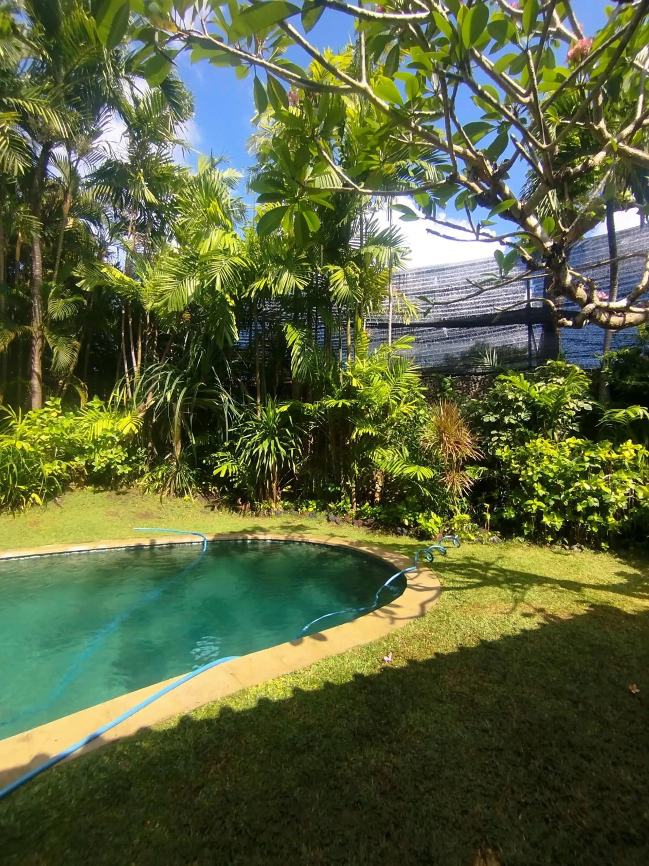 Garden in Villa Kubu Seminyak