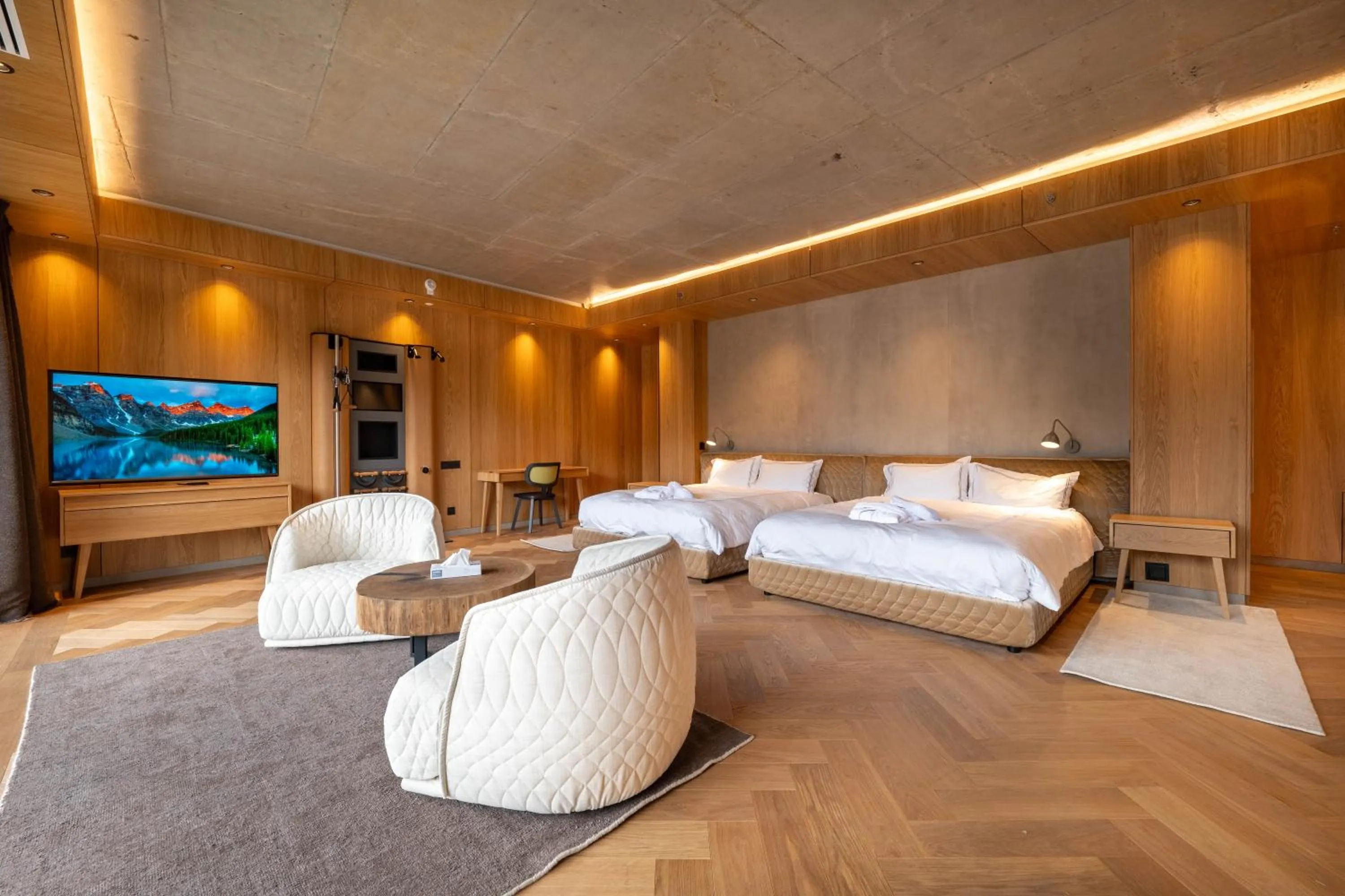 TV and multimedia, Bed in Swissôtel Damian Jasna