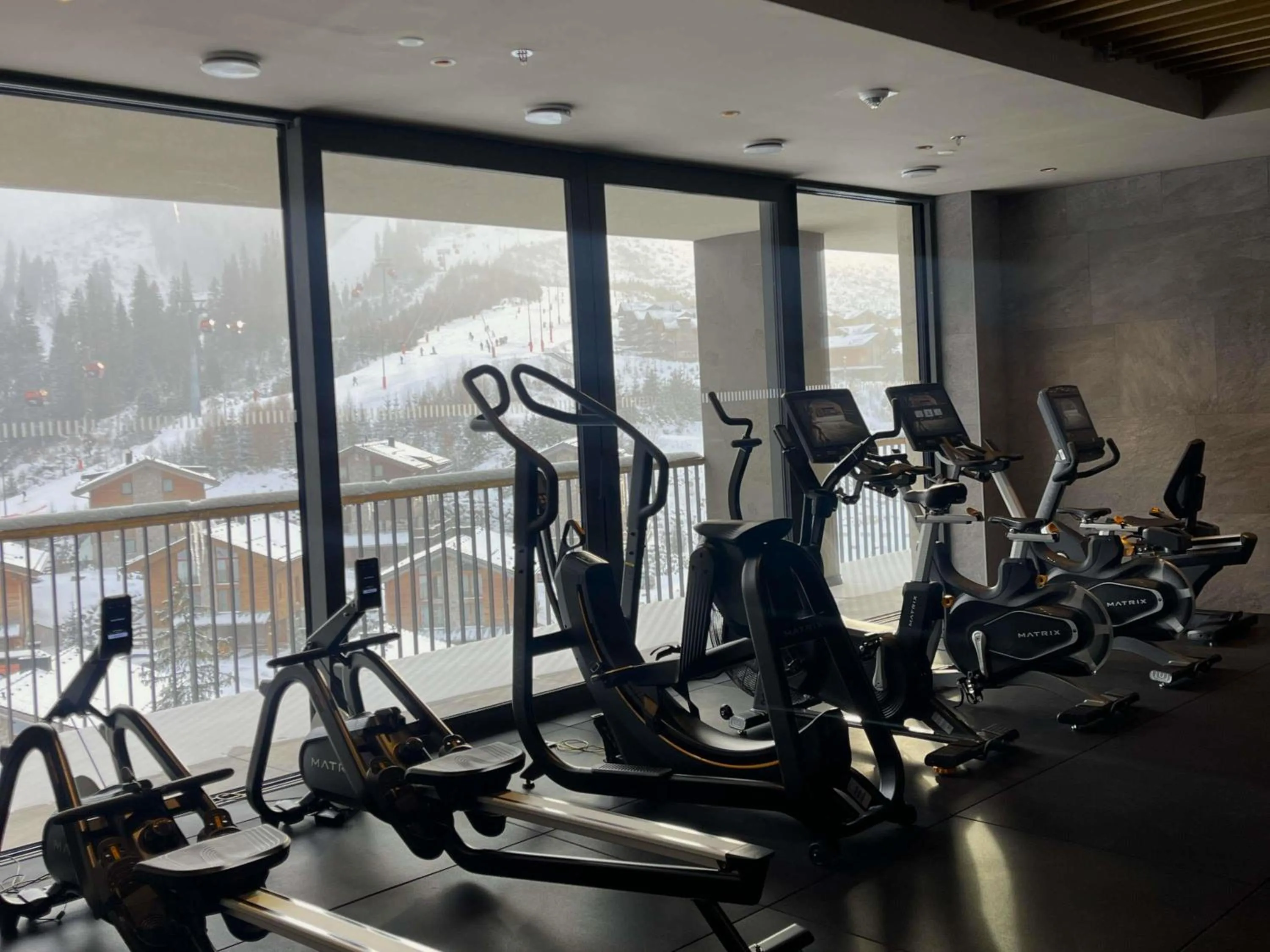 Fitness centre/facilities in Swissôtel Damian Jasna