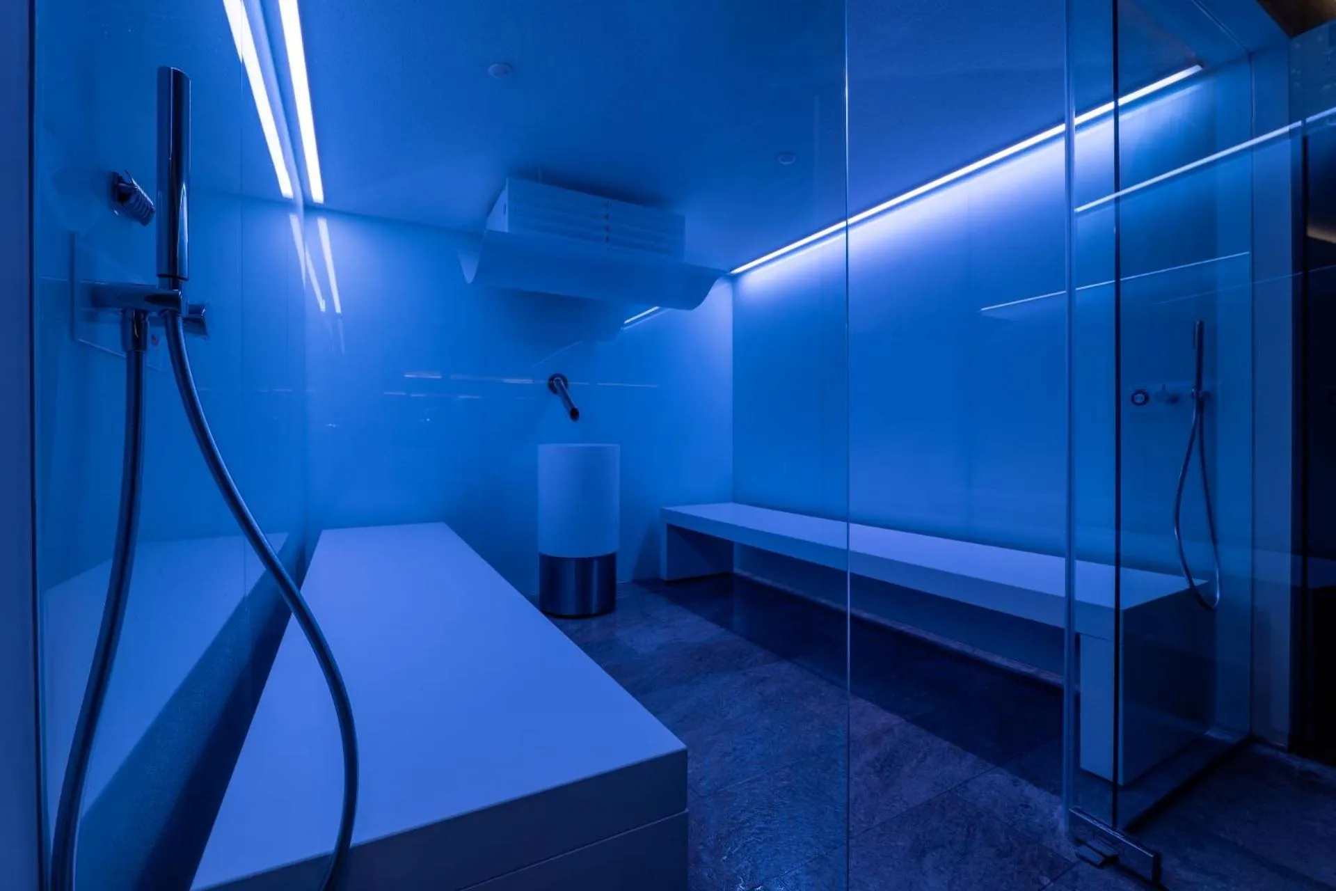 Sauna, Bed in Swissôtel Damian Jasna