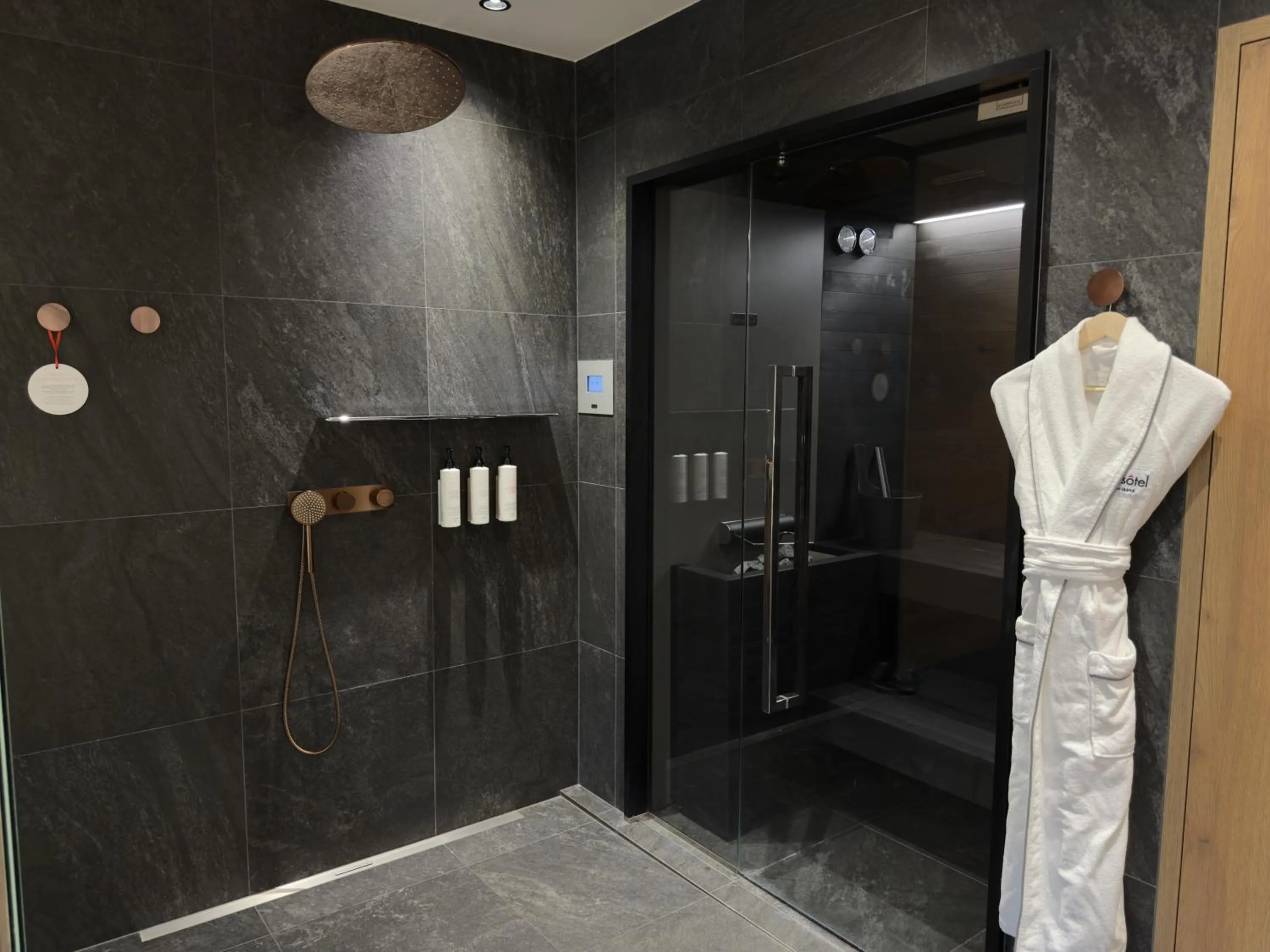 Shower in Swissôtel Damian Jasna