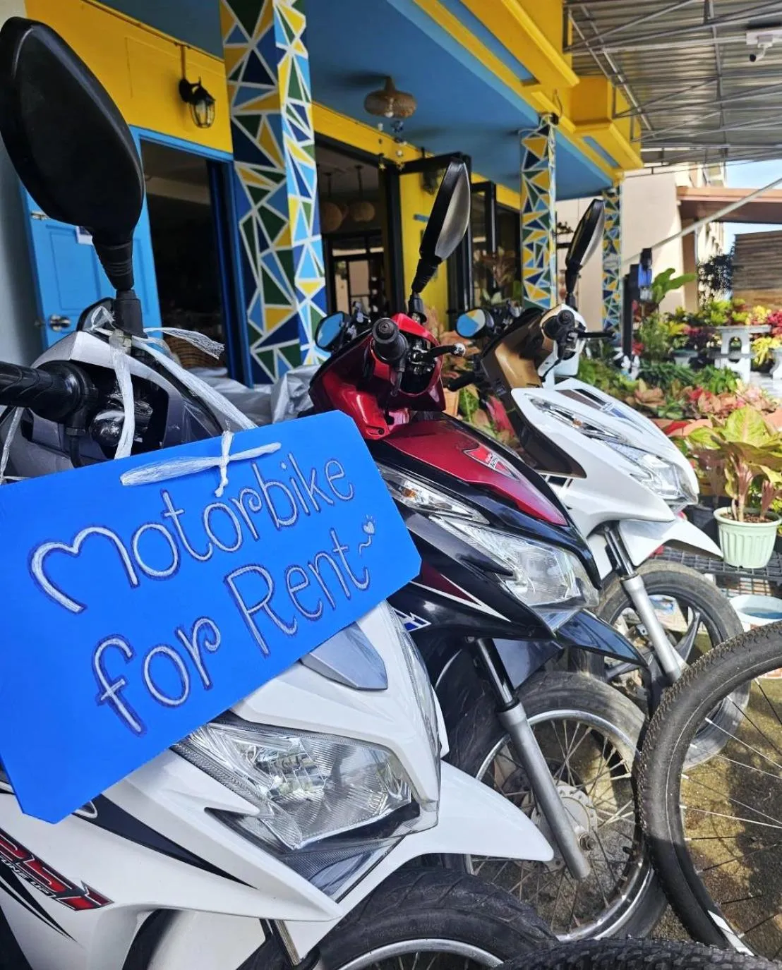 Text overlay in Lanta MP Place - Adult Only