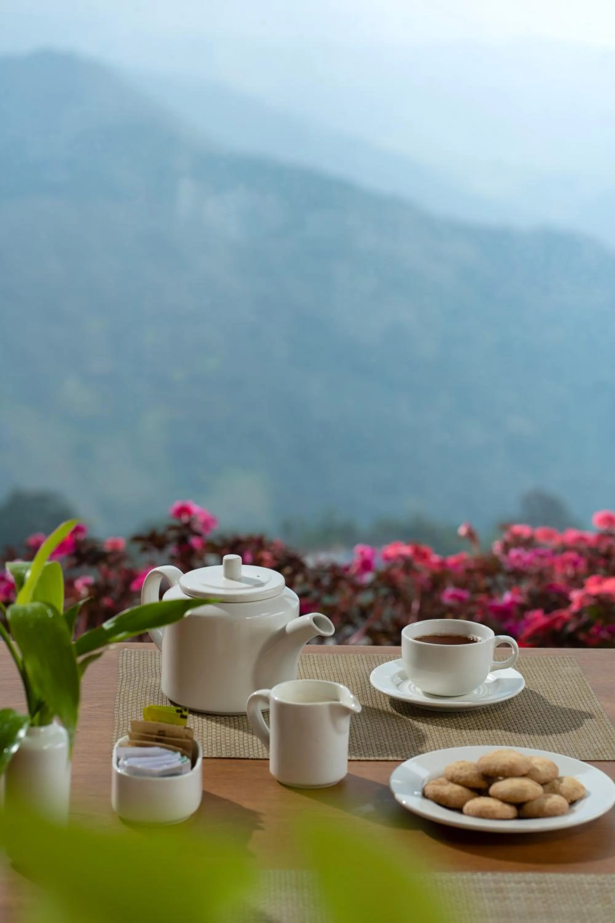 Restaurant/places to eat in The Valle by Kondody Hotels