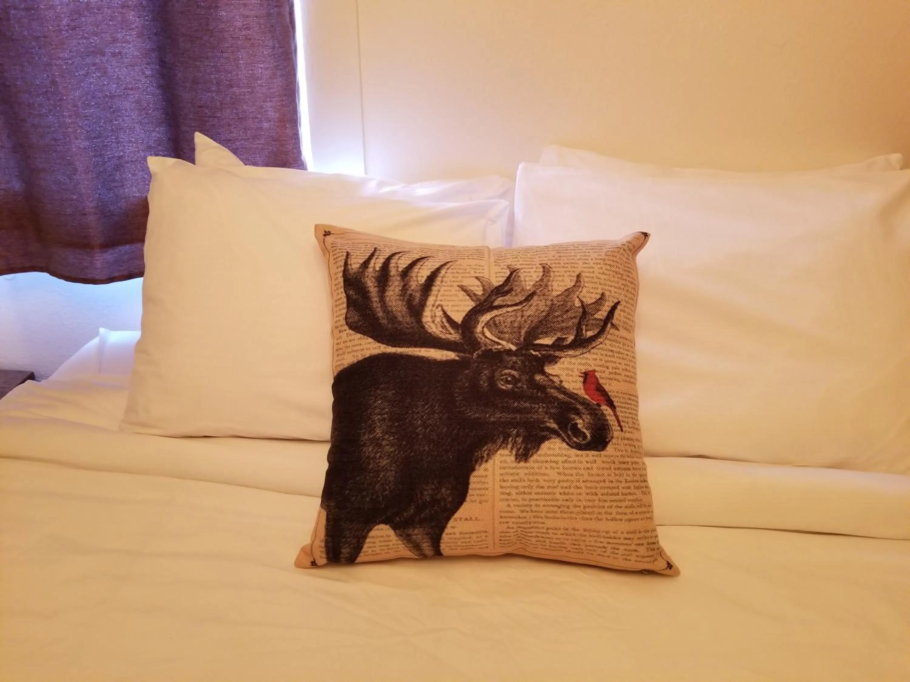 Mrs. Anderson's Lodging