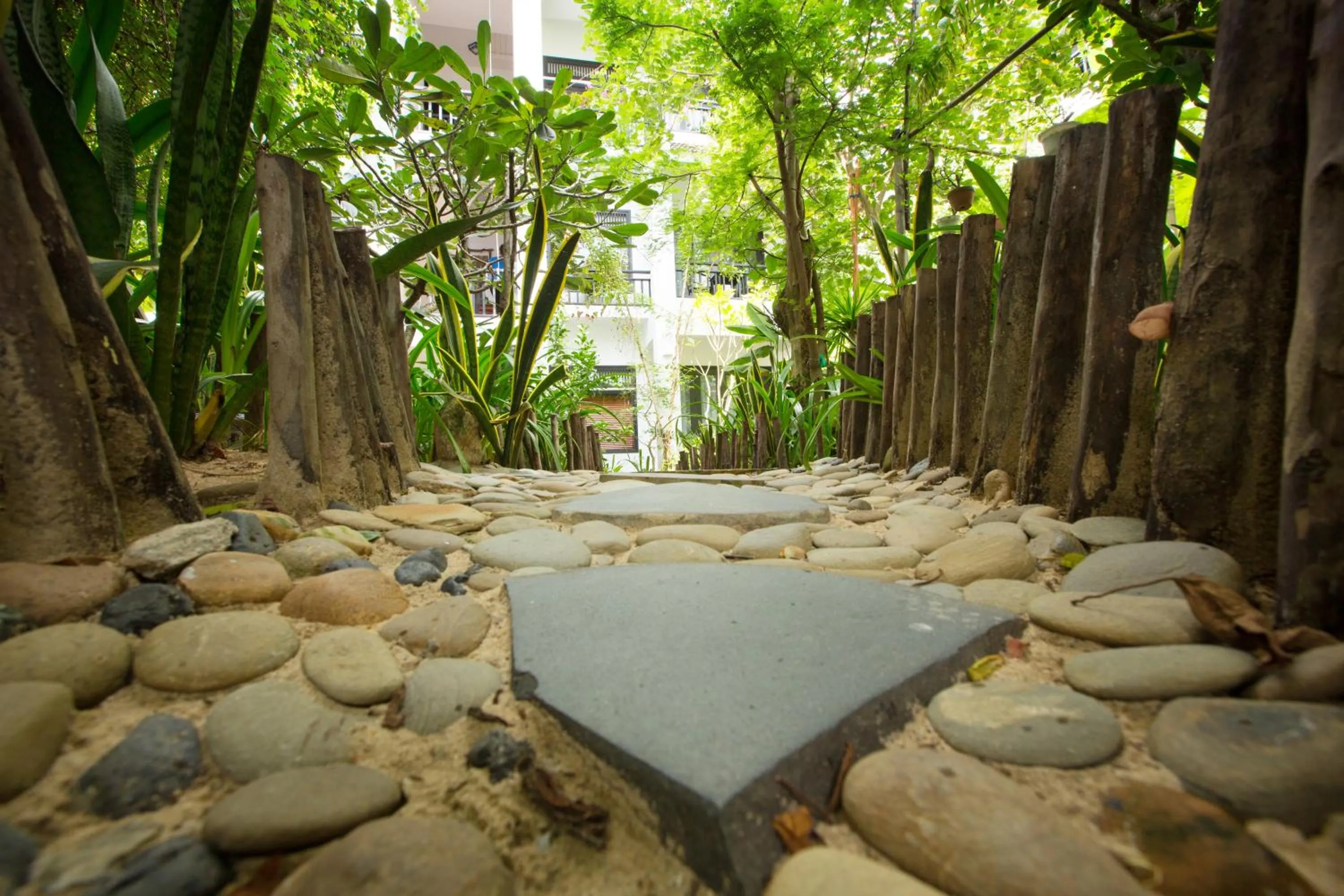 Garden in East West Villa