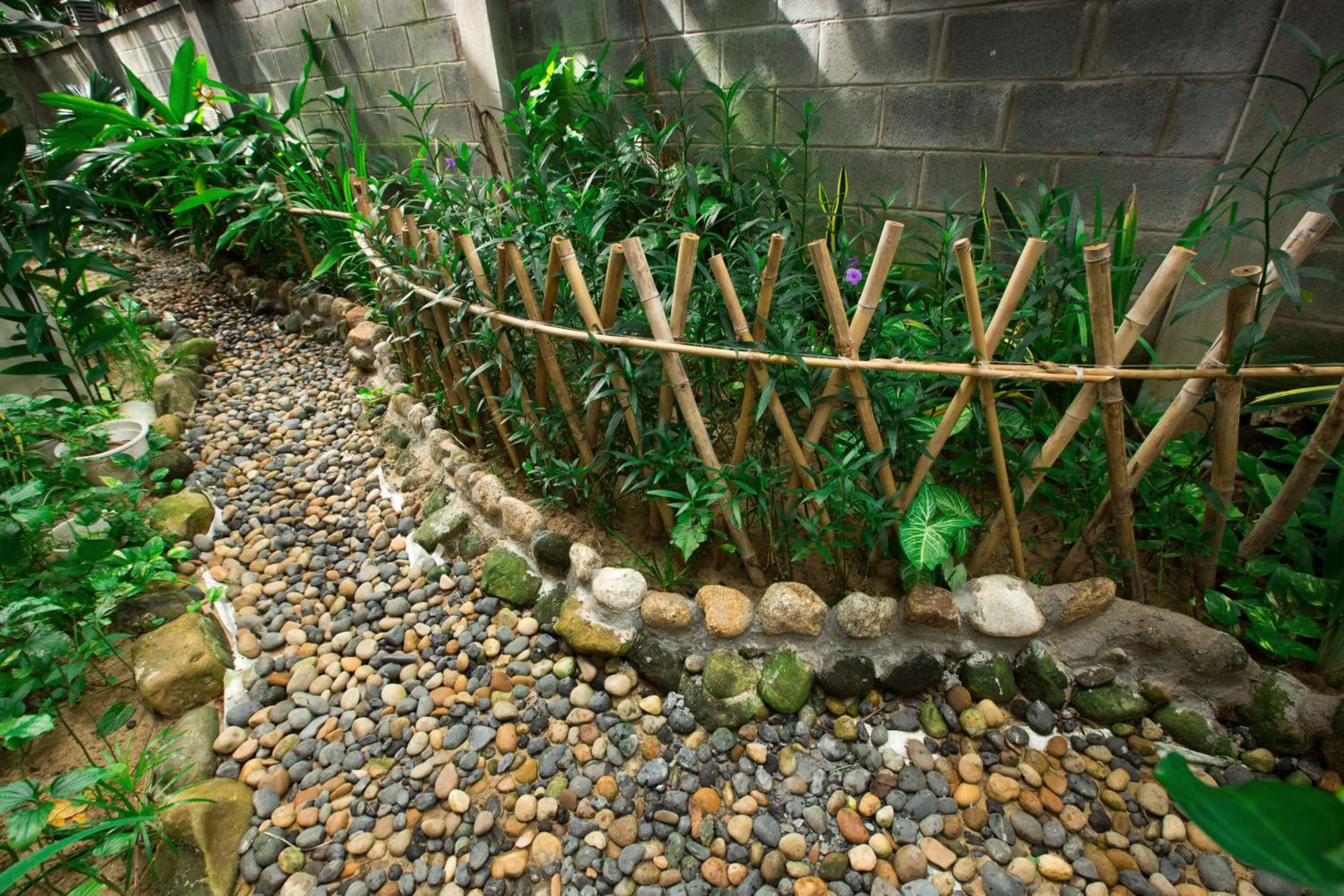 Garden in East West Villa