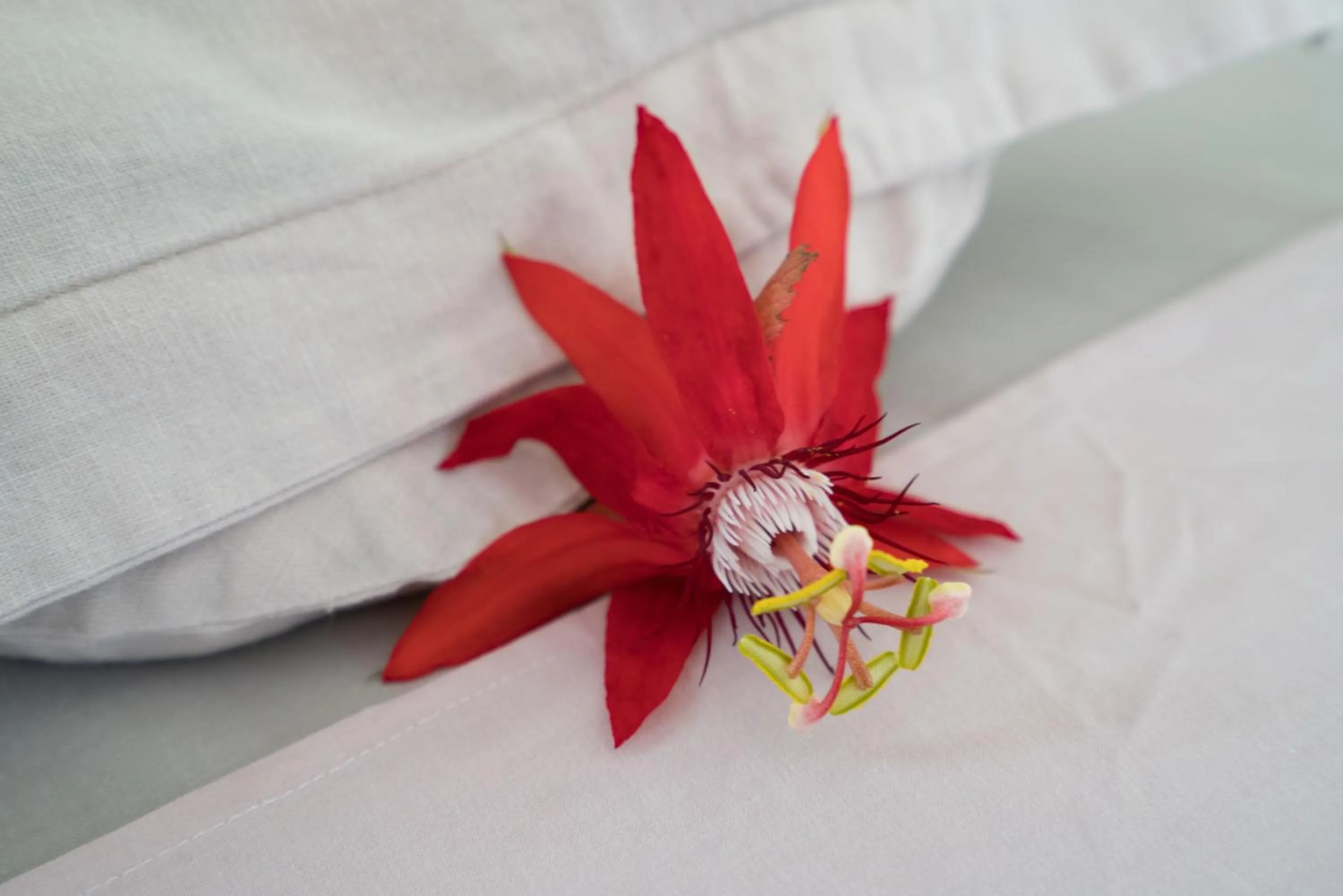 Spa and wellness centre/facilities, Bed in East West Villa