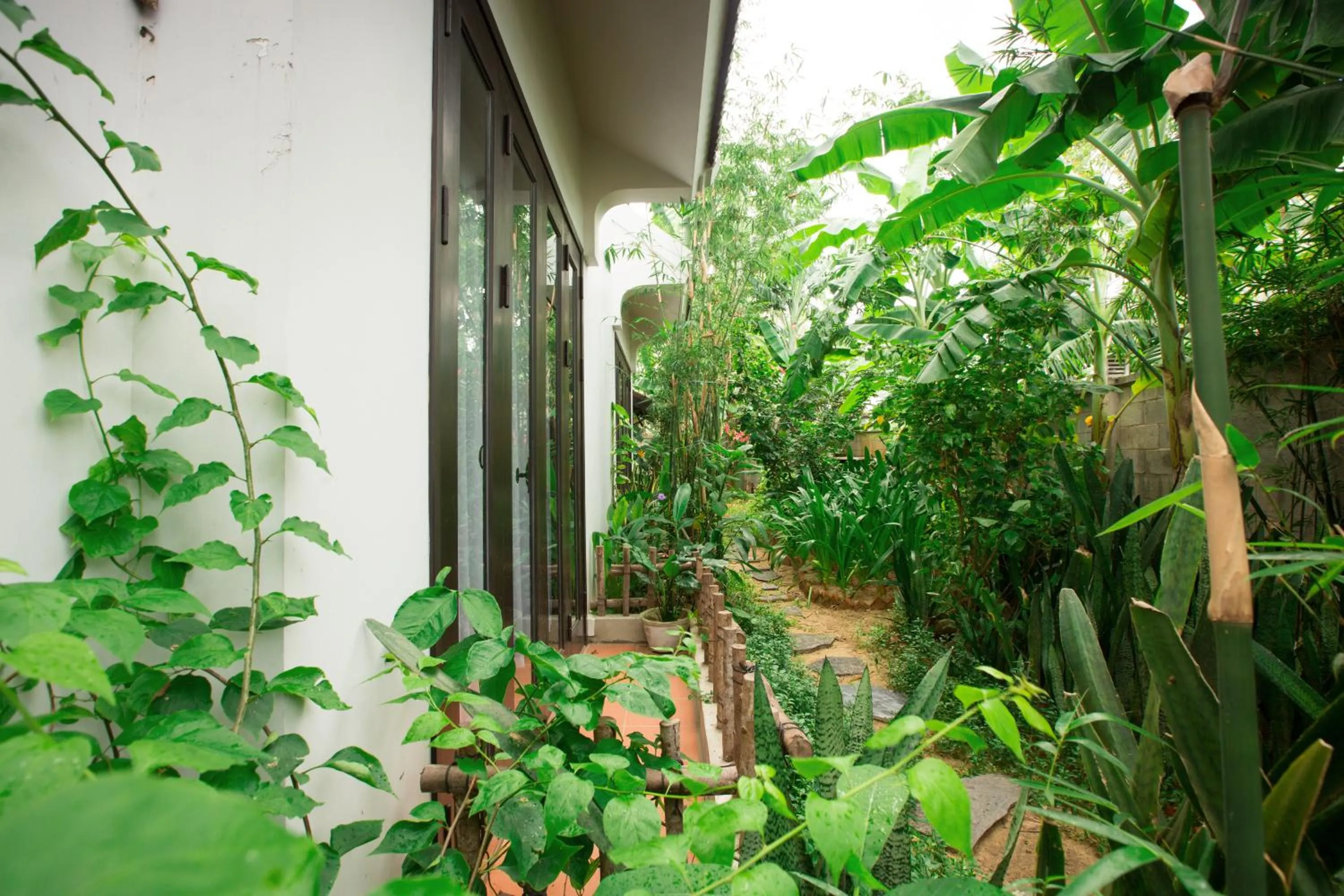Garden in East West Villa