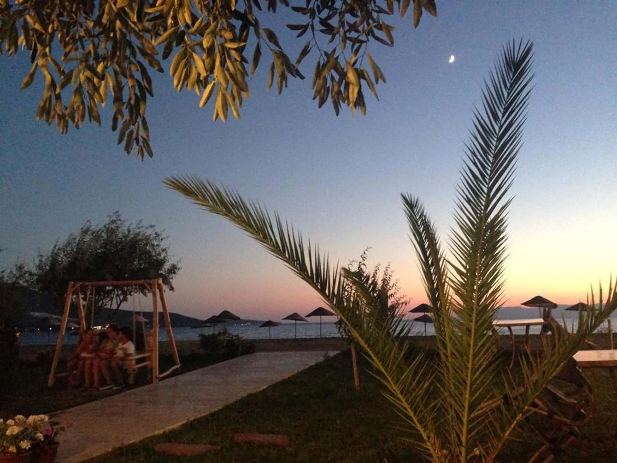 Restaurant/places to eat in Sunset Hotel Dikili