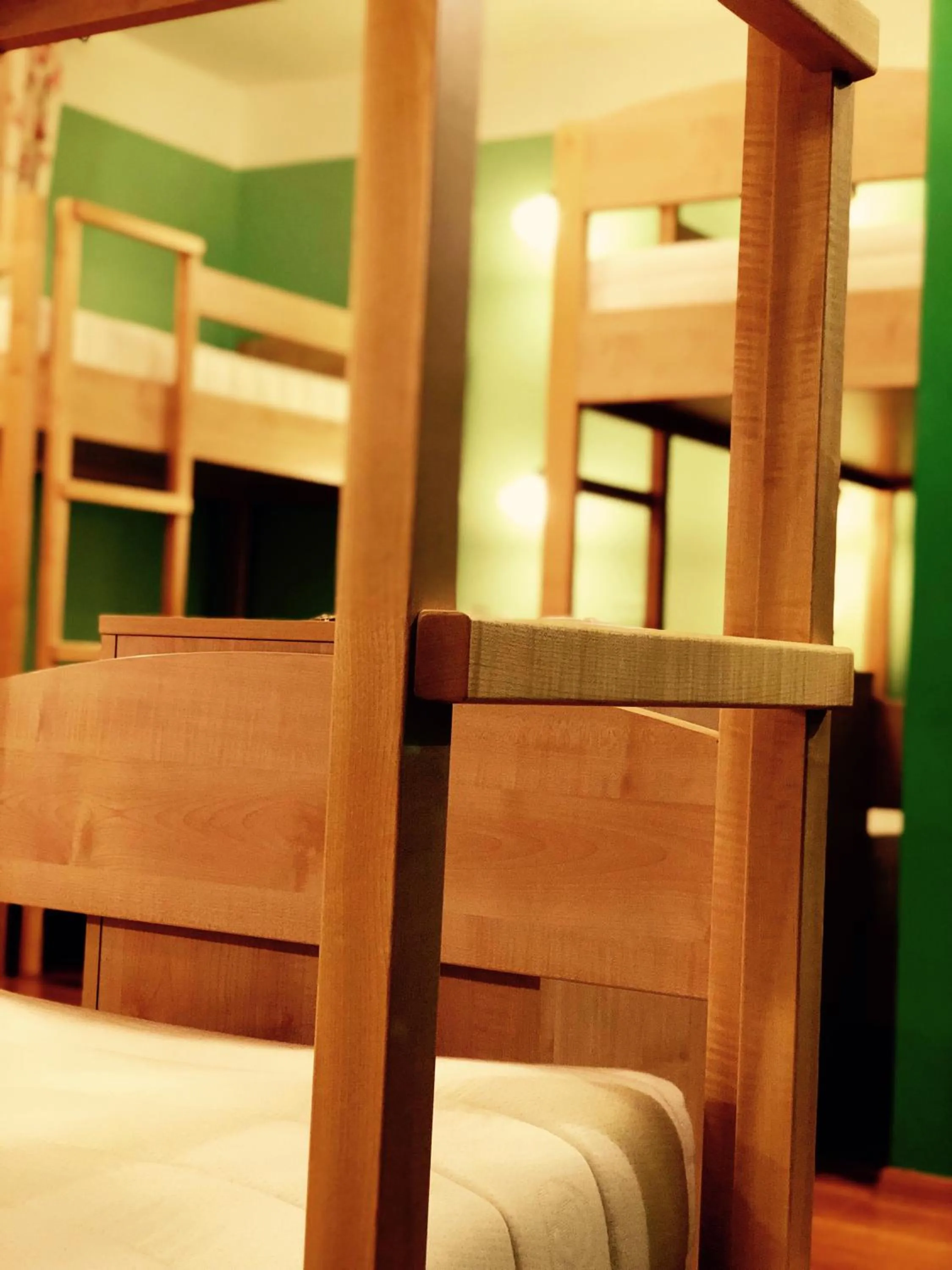 Bed in Guesthouse Bistra