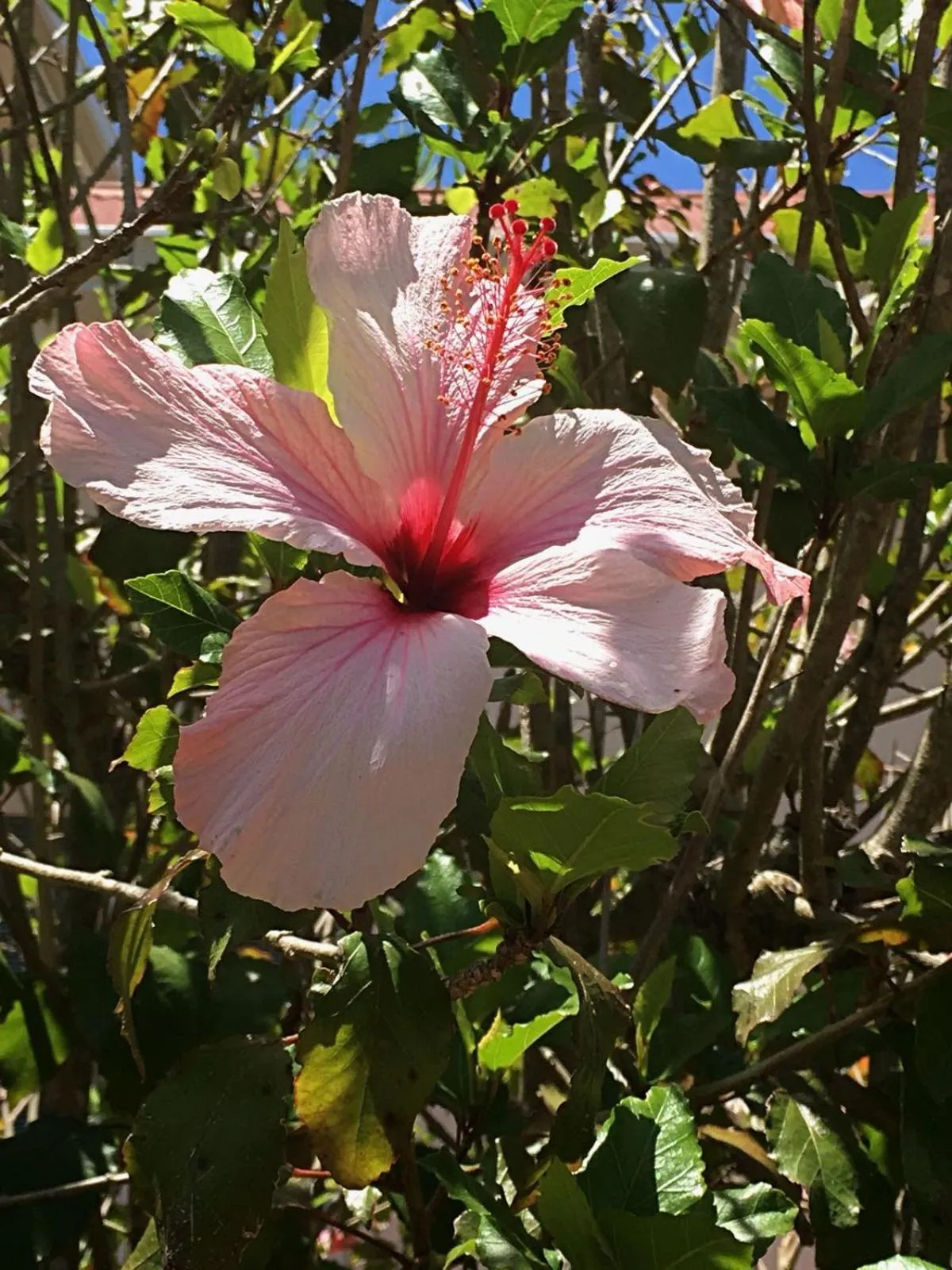 Oude Berg Guesthouse - 10 Caledon Street