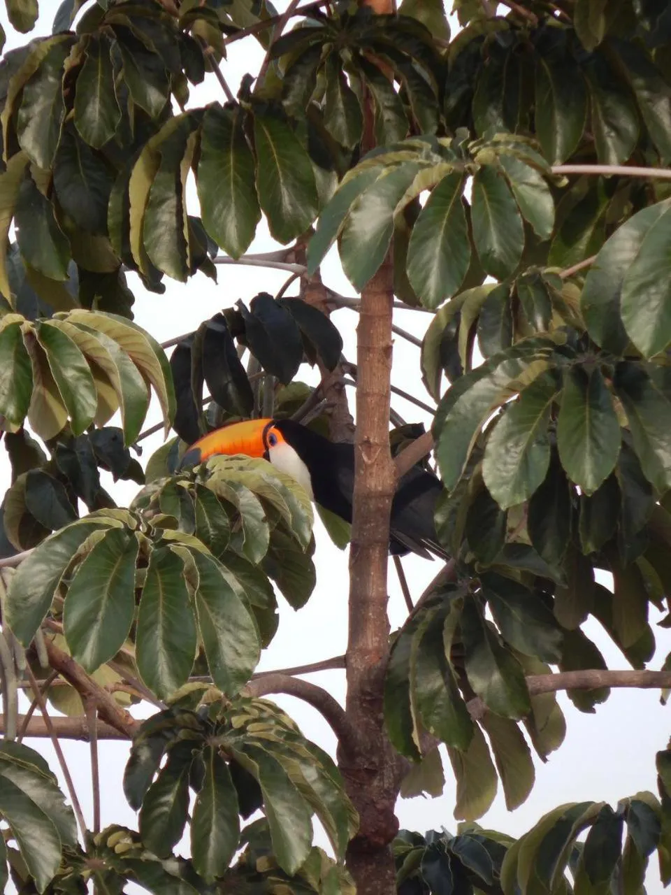 Pousada Fazenda São Bento