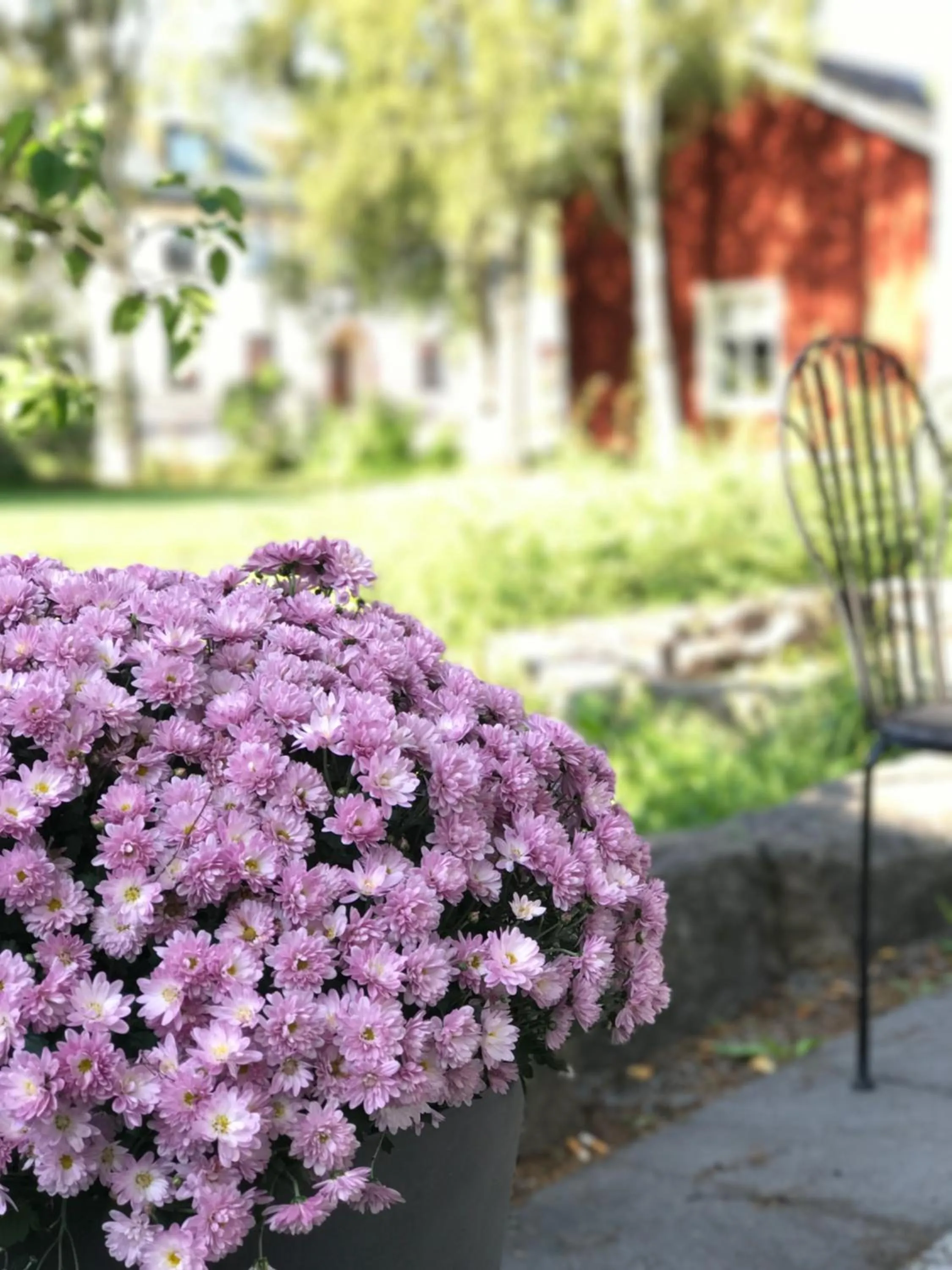 Patio in Sunderby folkhögskola Hotell & Konferens