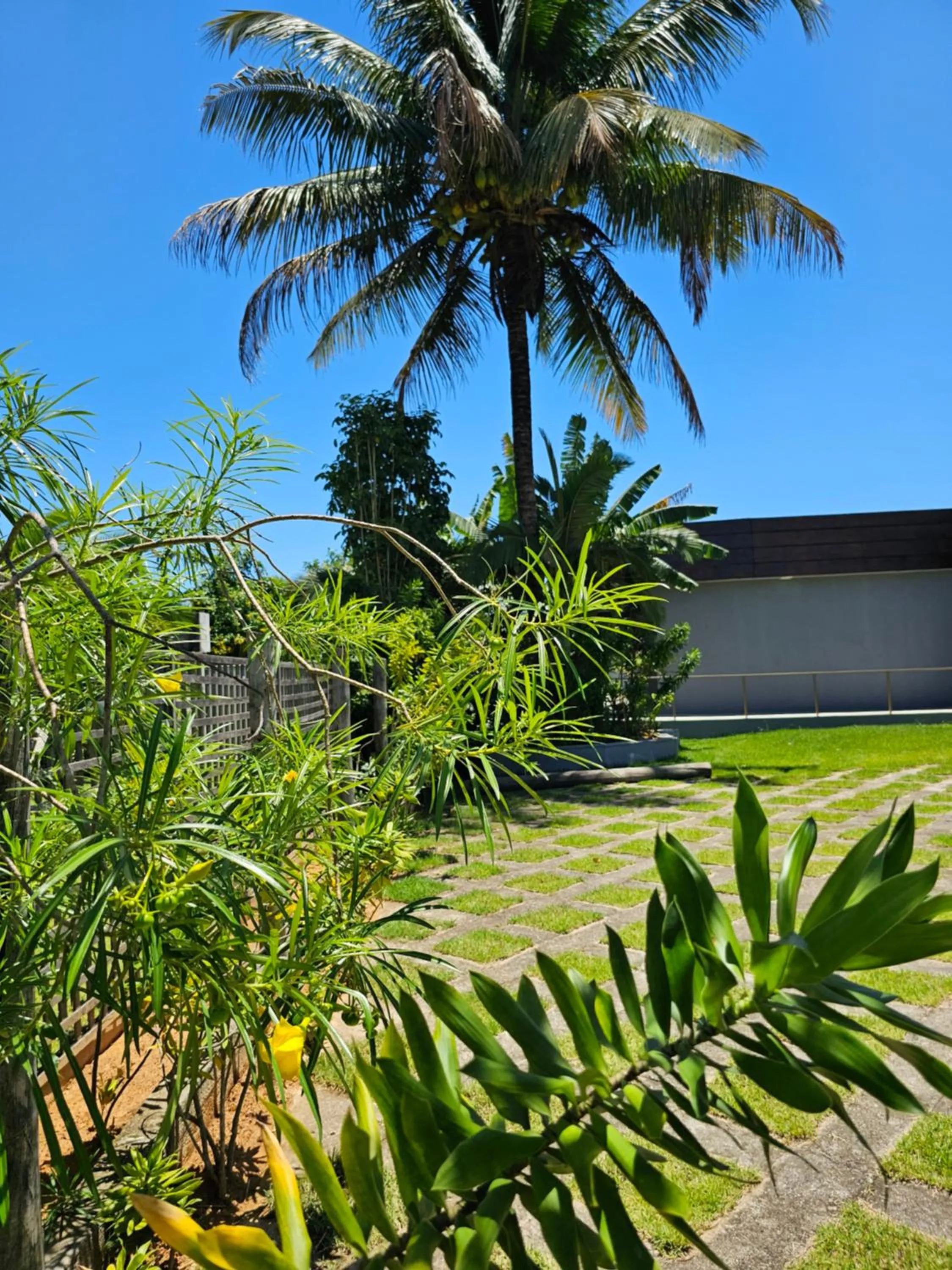 Garden view in HOTEL INDIANO