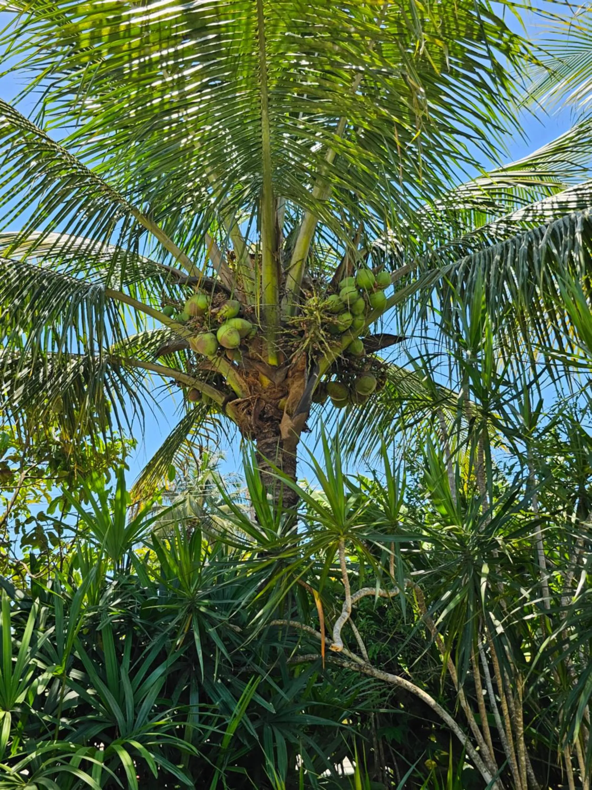 Natural landscape in HOTEL INDIANO
