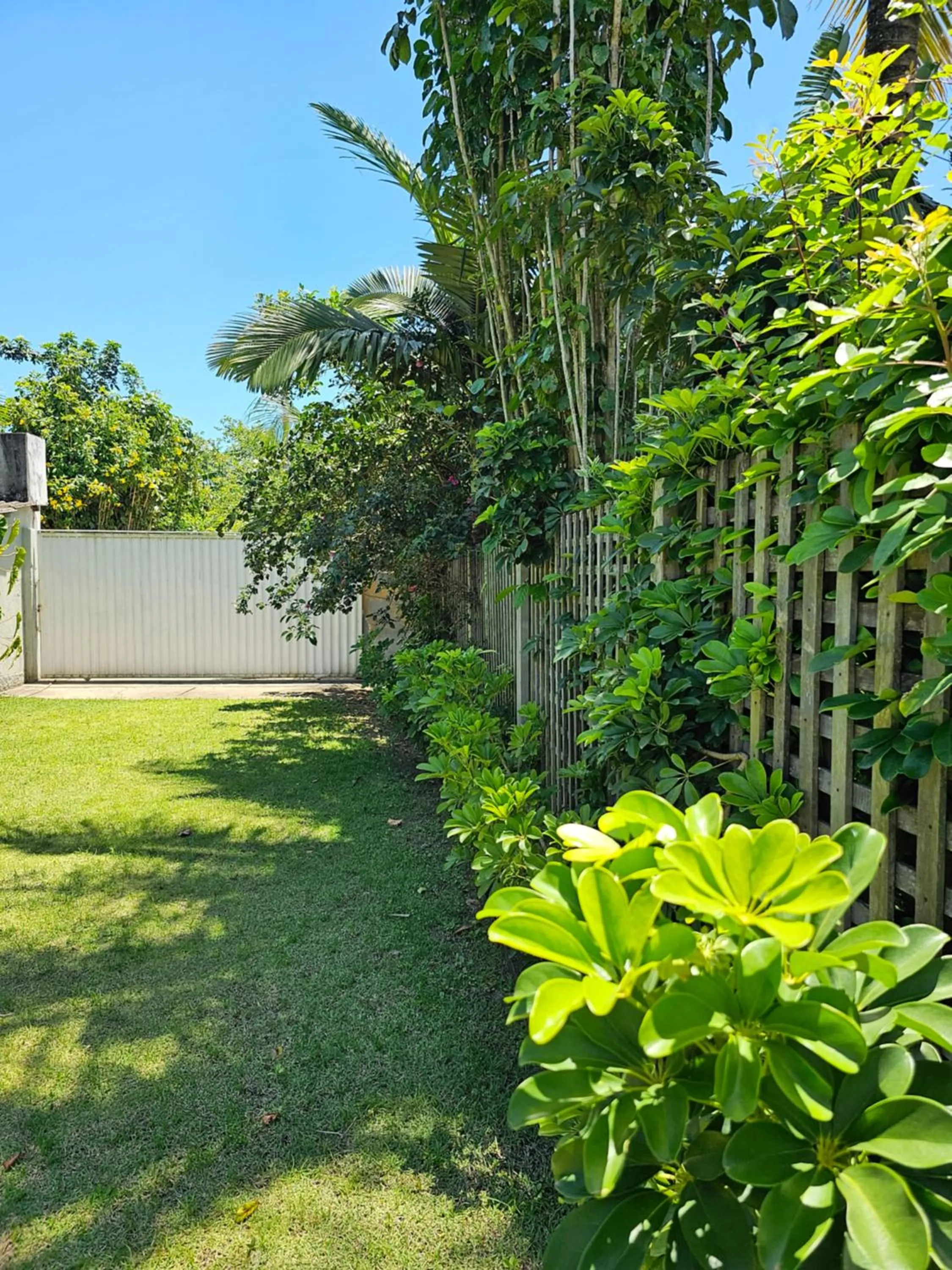 Garden view in HOTEL INDIANO