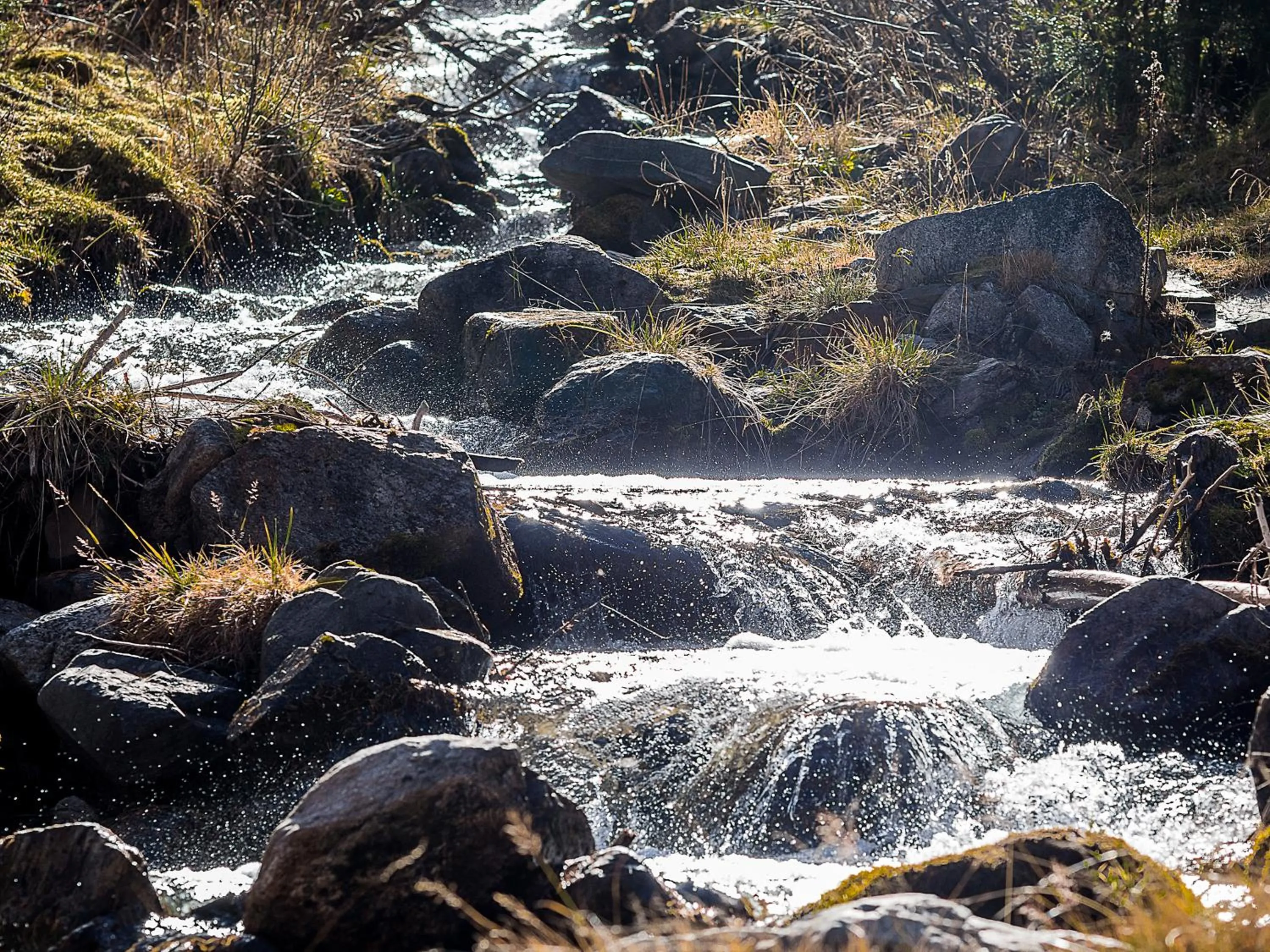 Natural landscape in Der Brückenwirt