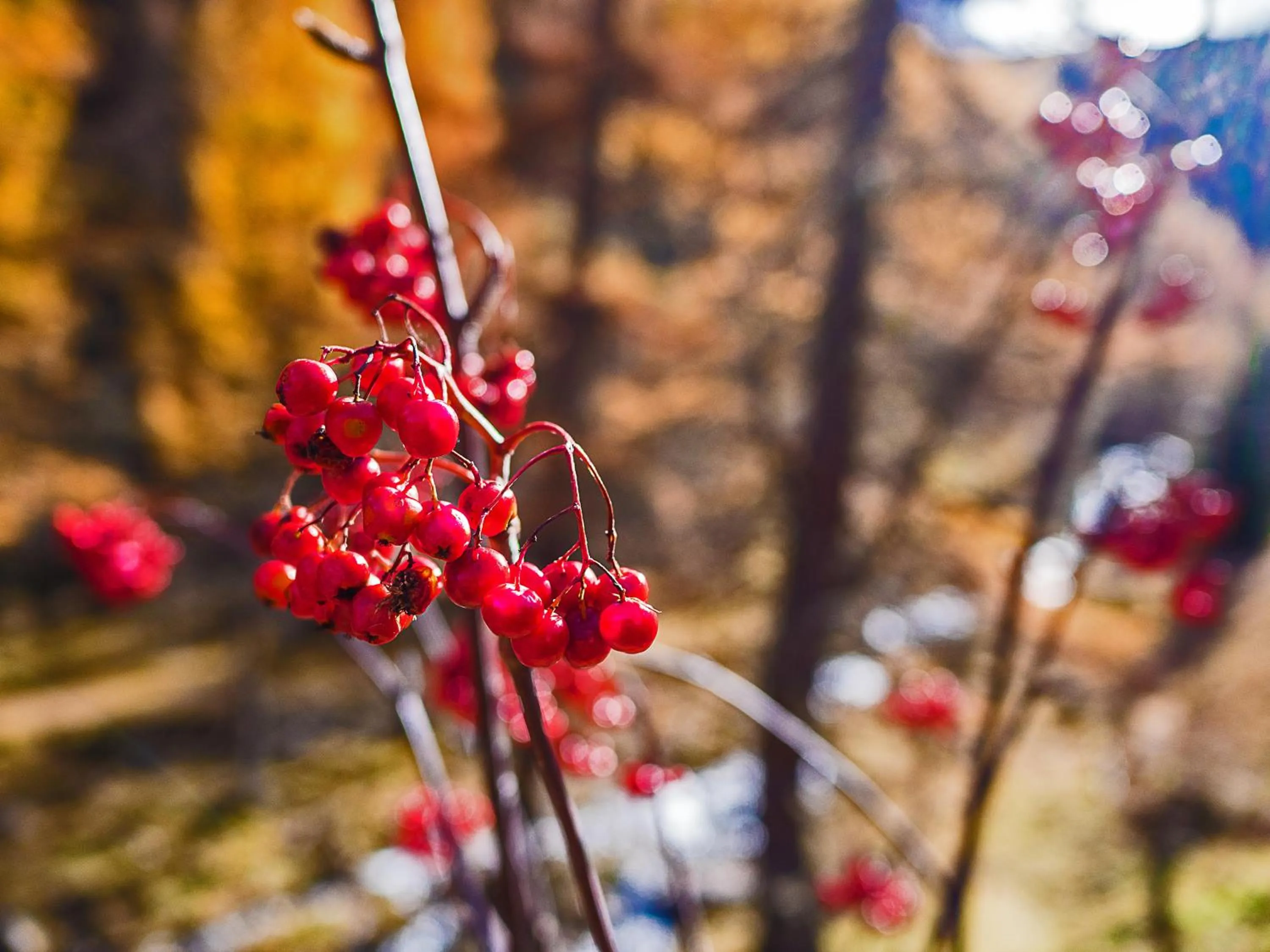 Off site in Der Brückenwirt