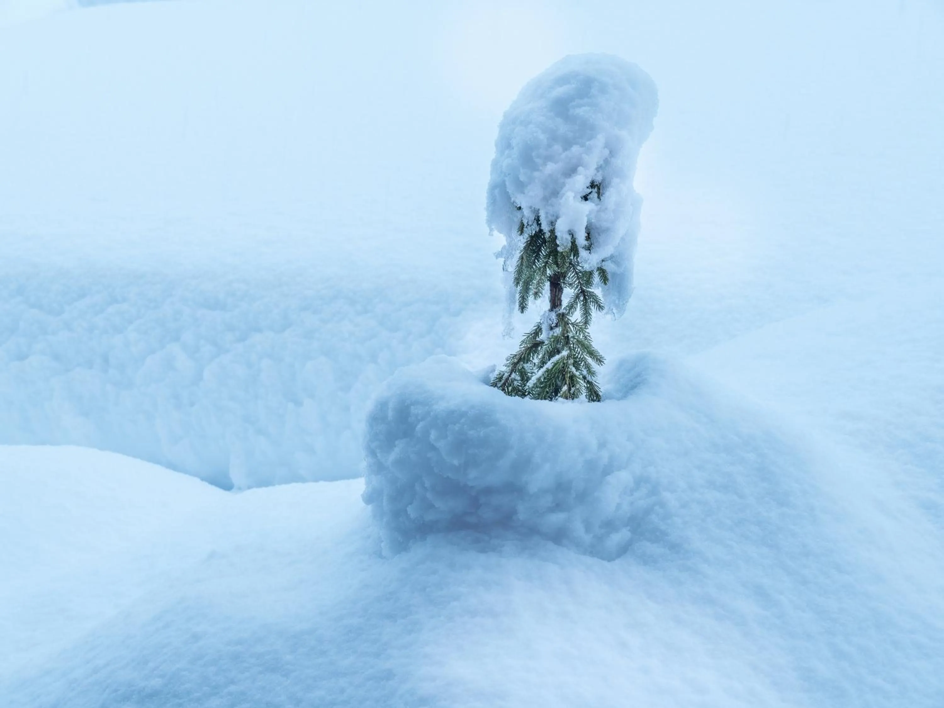 Other in Der Brückenwirt