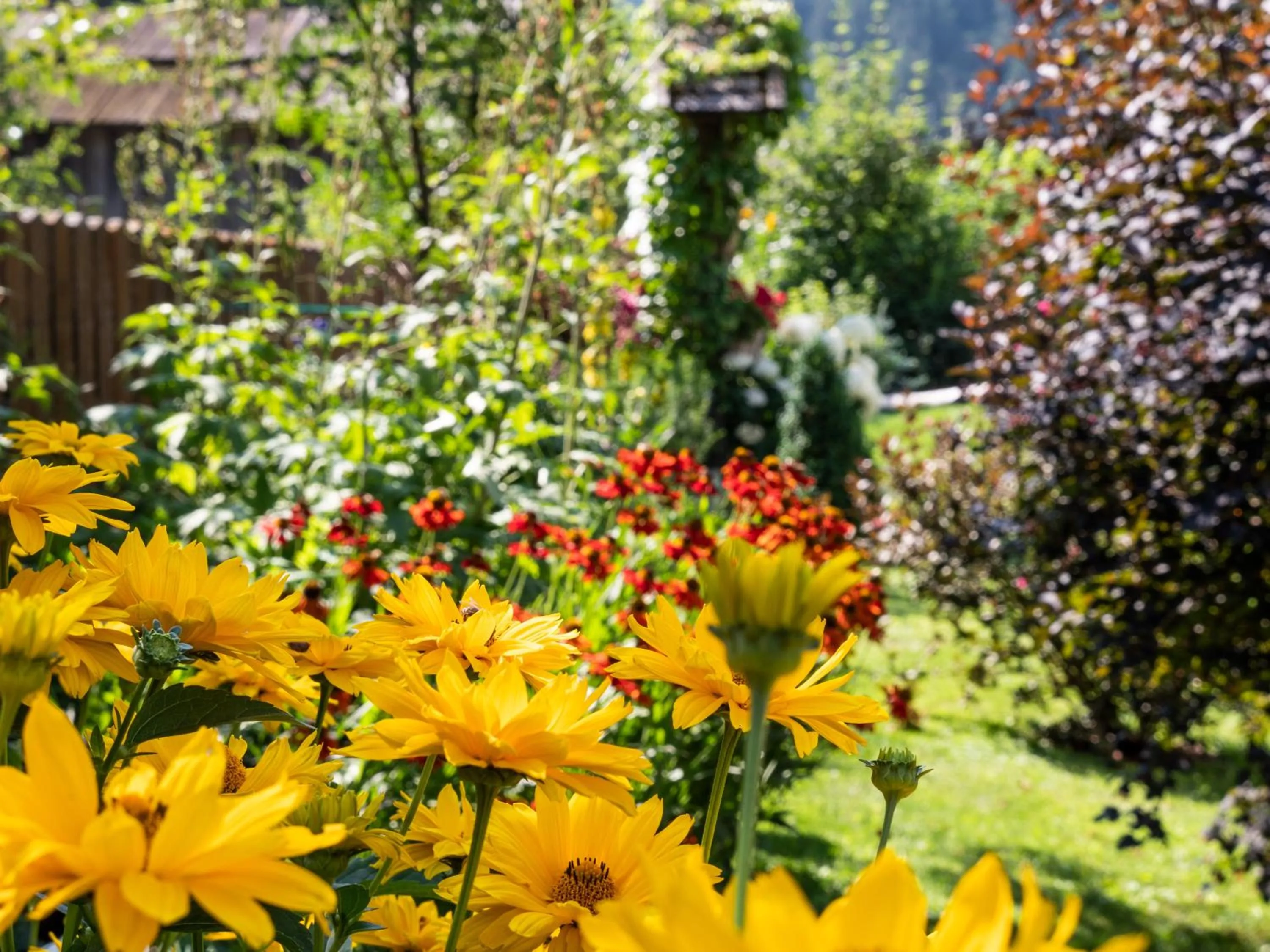 Garden in Der Brückenwirt