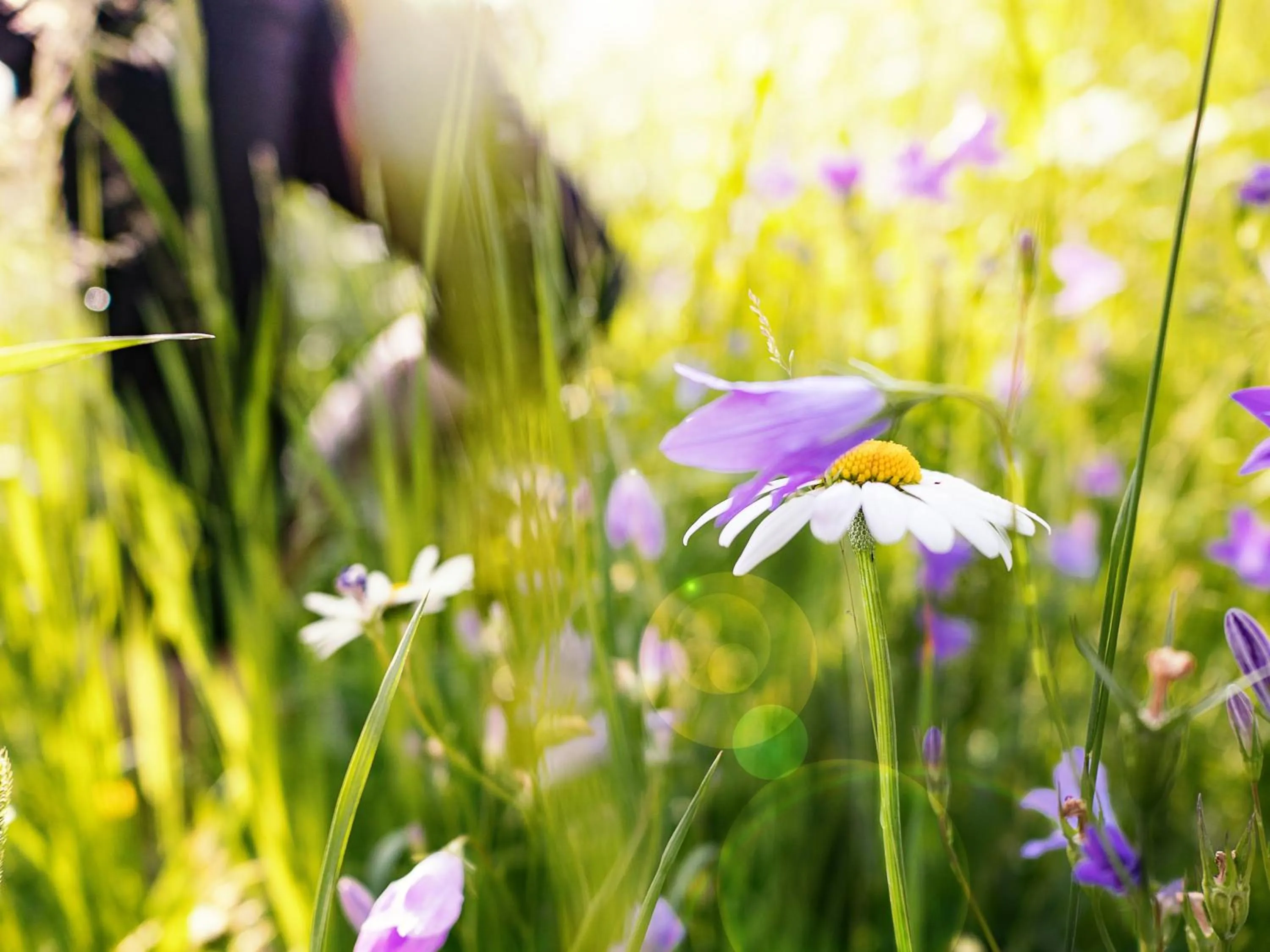 Neighbourhood in Der Brückenwirt