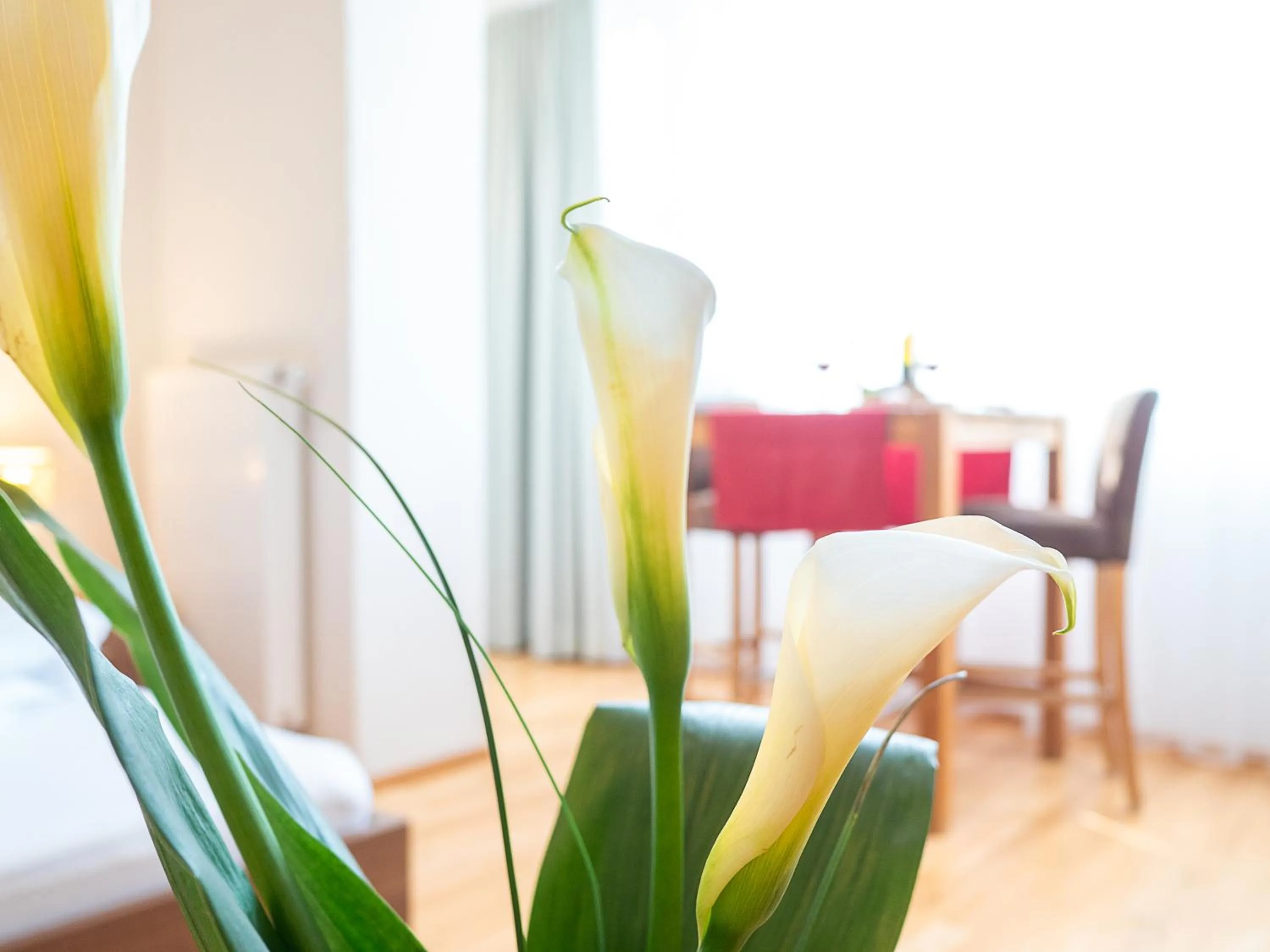 Drinks in Der Brückenwirt